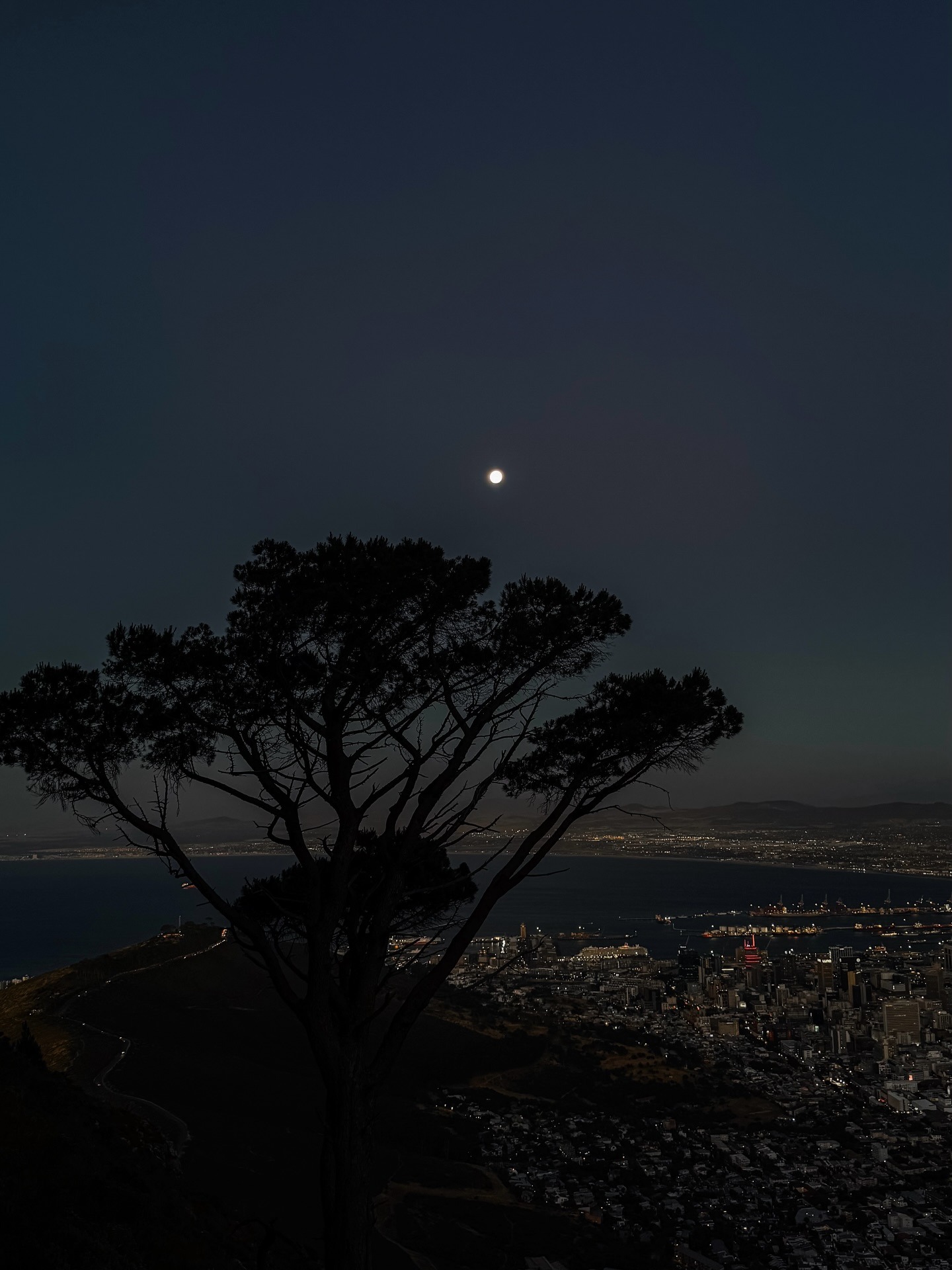 The Full Springboks Moon Rises. A... - We Are South Africans | Facebook