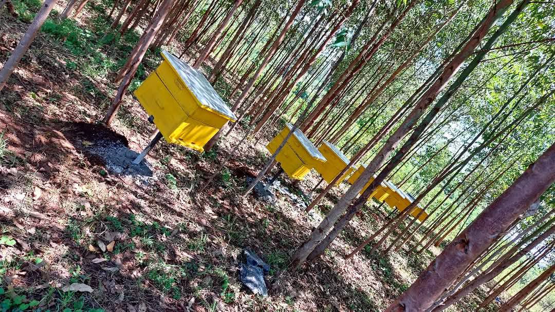 Kin Farm | Kisumu
