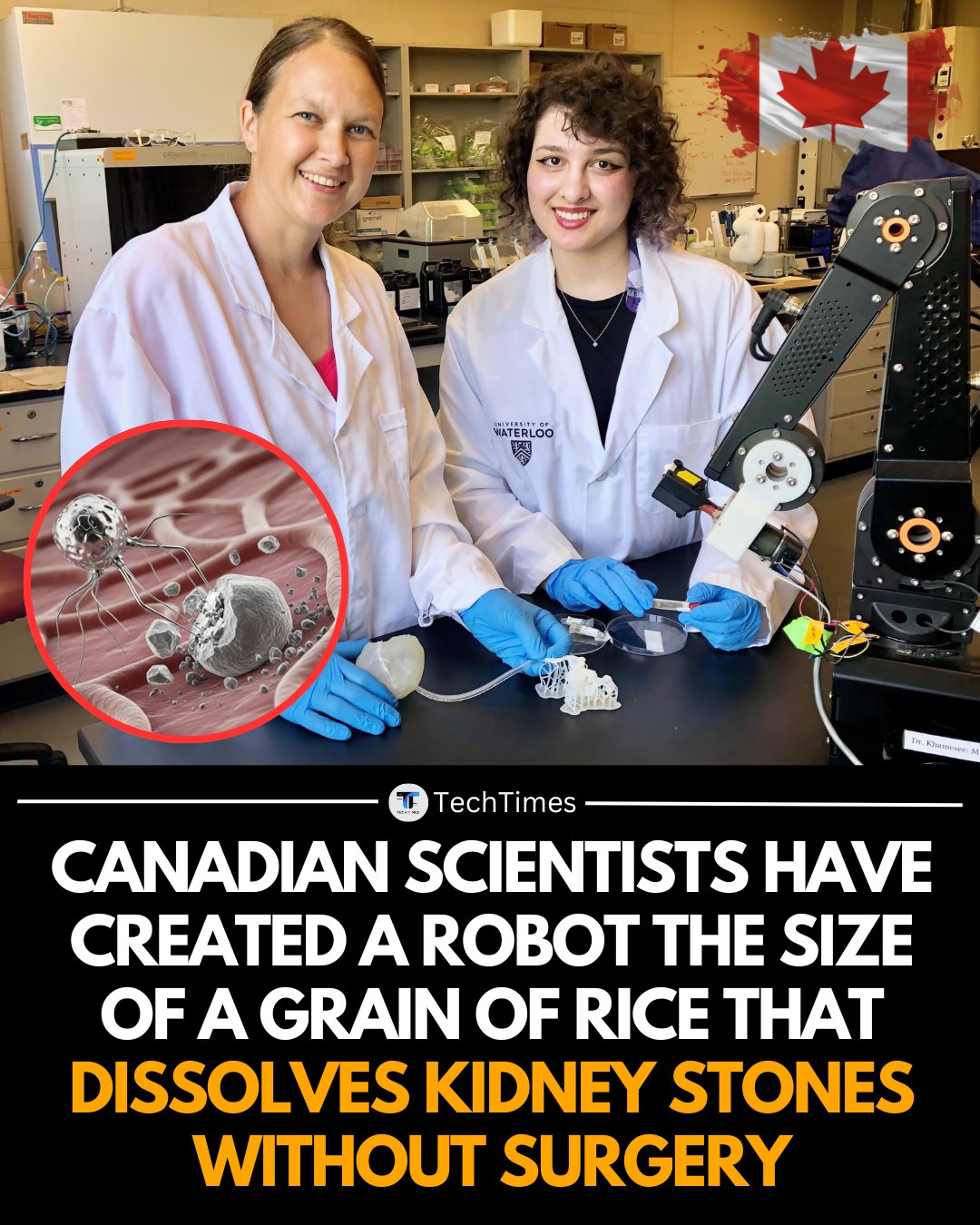 TechTimes - Canadian scientists have developed a... | Facebook
