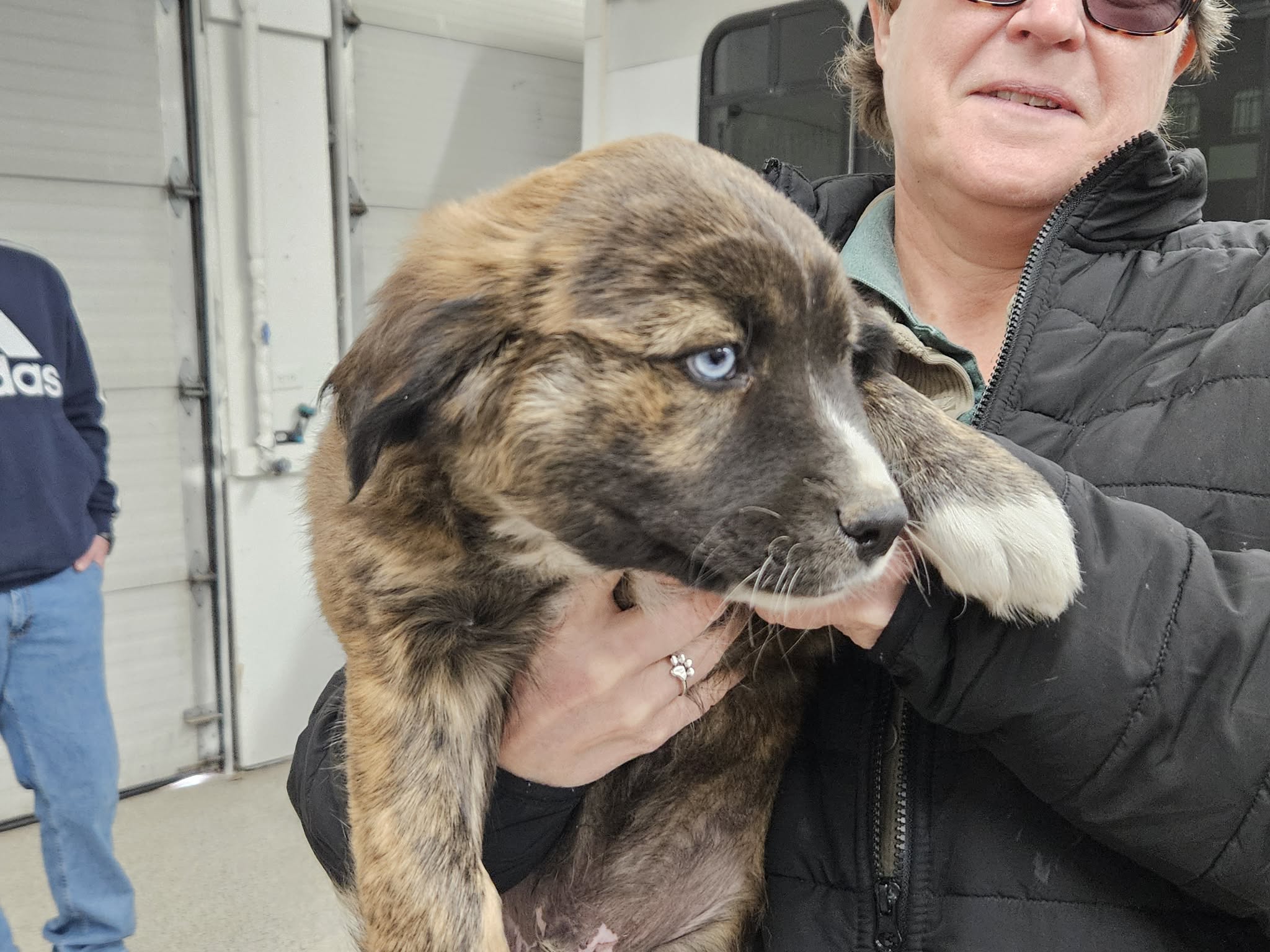 Underdog Pet... - Underdog Pet Rescue of Wisconsin, Inc.