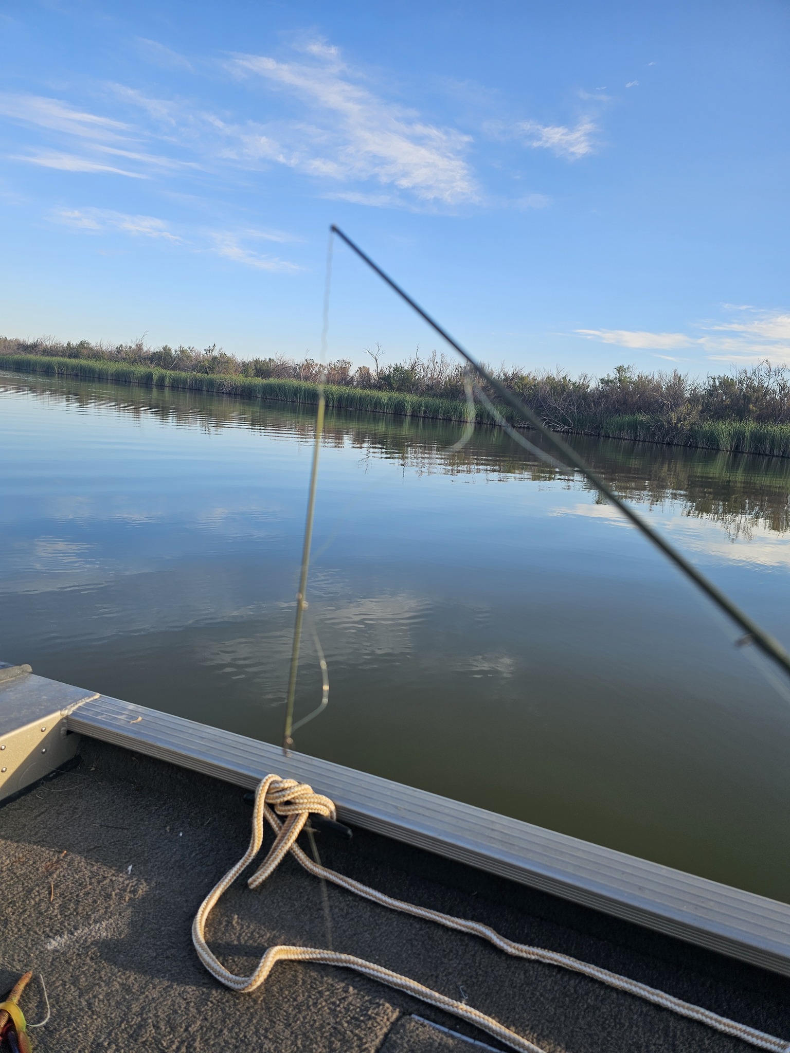 ark fishing pole bp Gravity Avid BFS Baitcast Reel BF-AL Left Handed Neko IVT70MHXS 7′ XF MH 8 Best Fishing Spots How Do