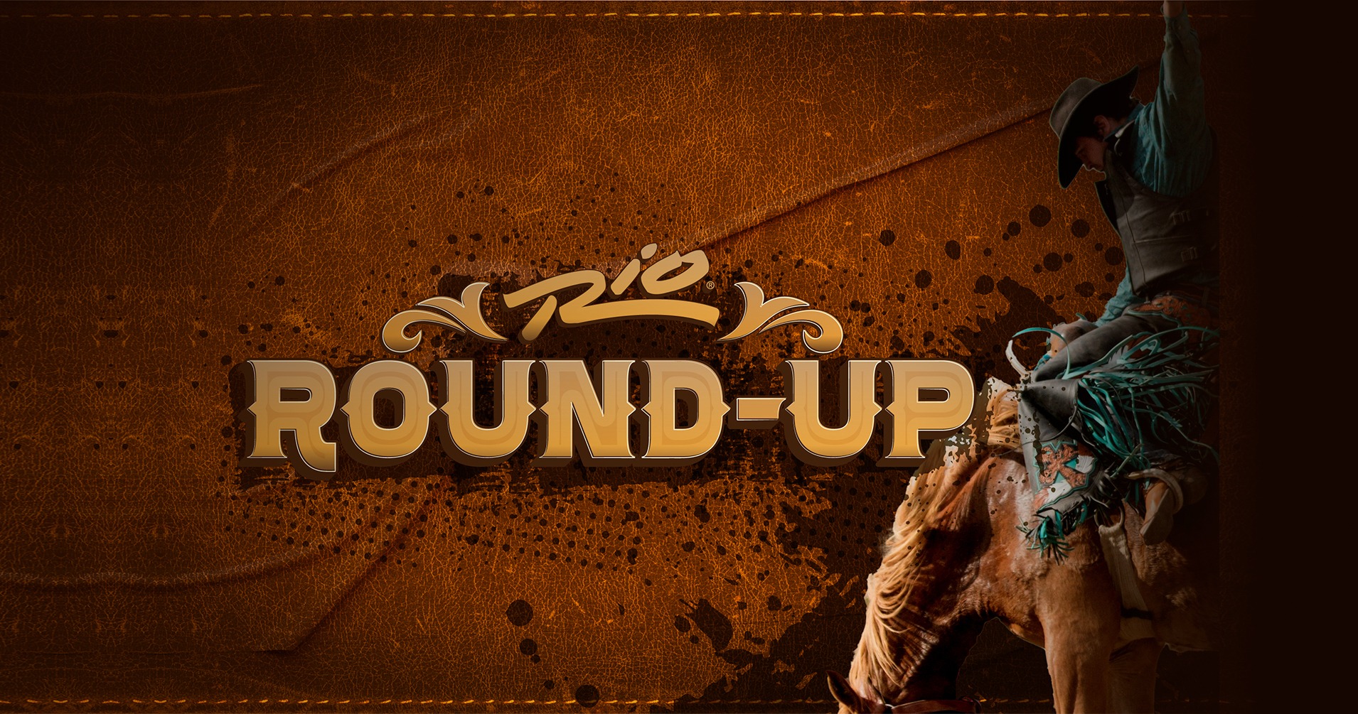 Rio Round-Up 2024