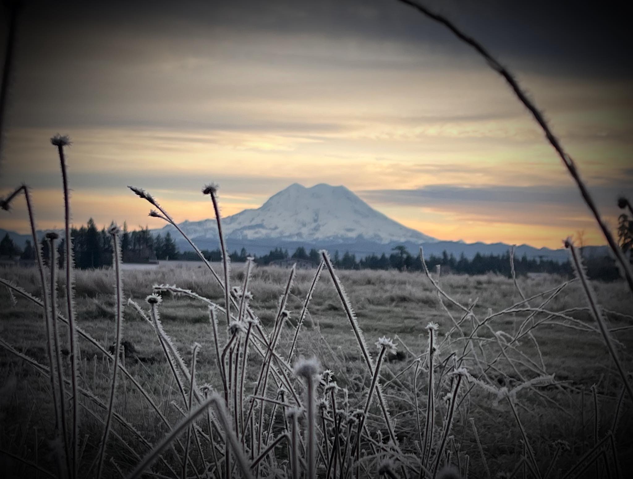 Green Branch Ranch & Farm Store | Yelm WA