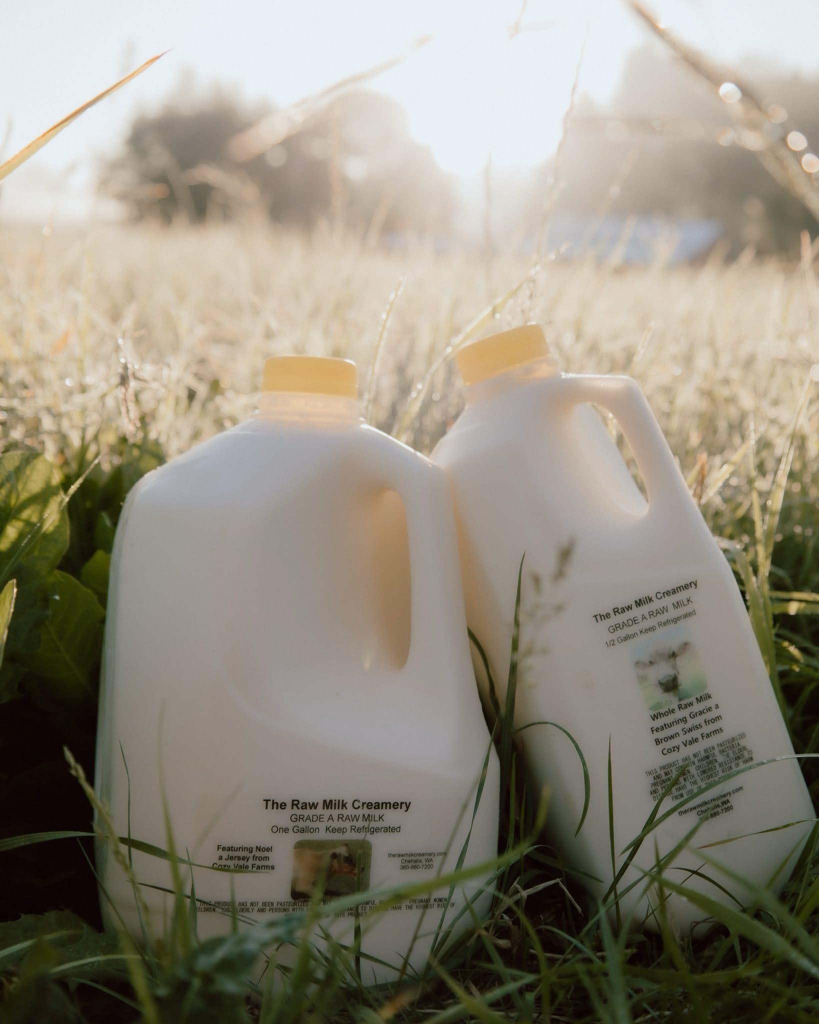 🥛 RAW MILK & CREAM —... - Green Branch Ranch & Farm Store | Facebook
