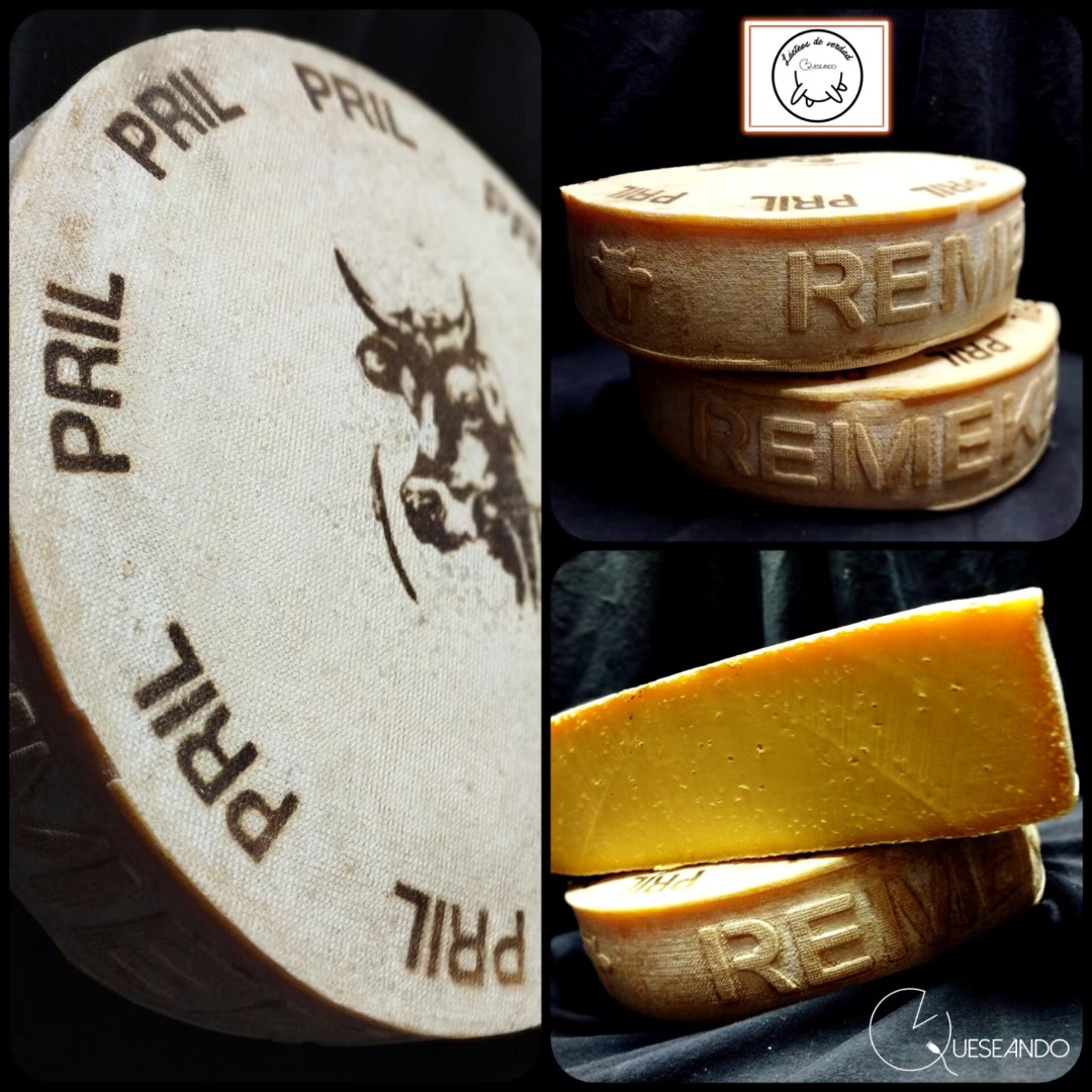 Queseando - 🧀 ¡Descubre el delicioso mundo del queso...
