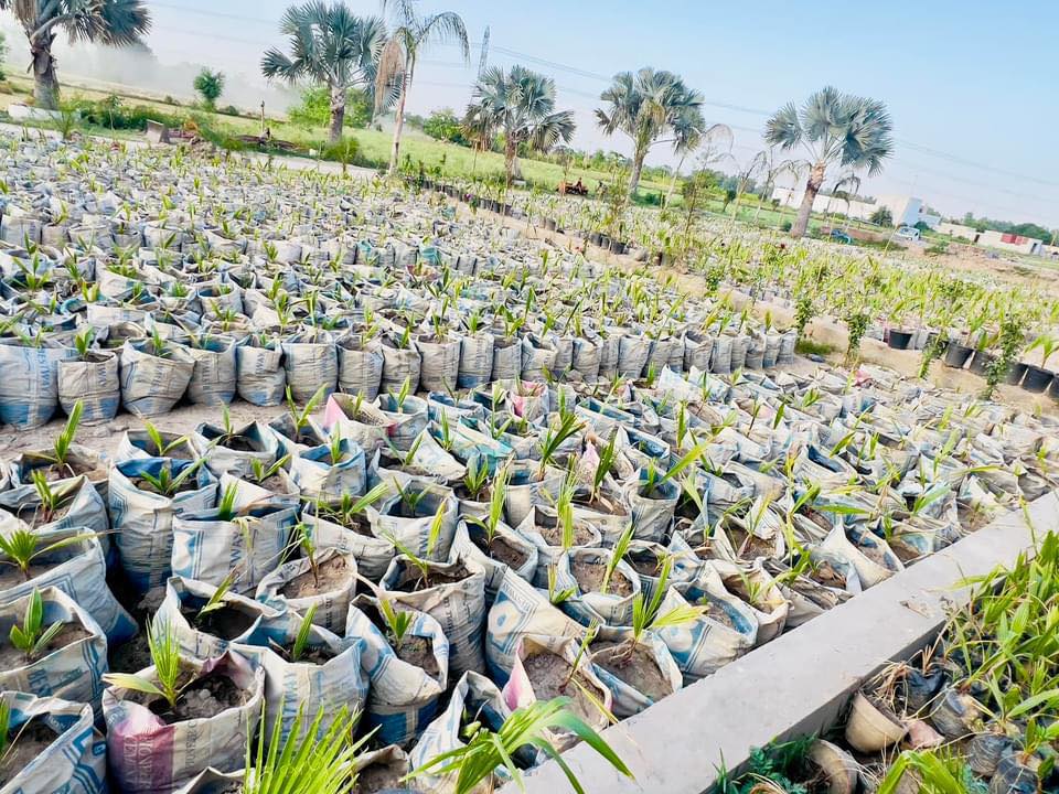 Sahi Protein Farm | Mandi Bahauddin