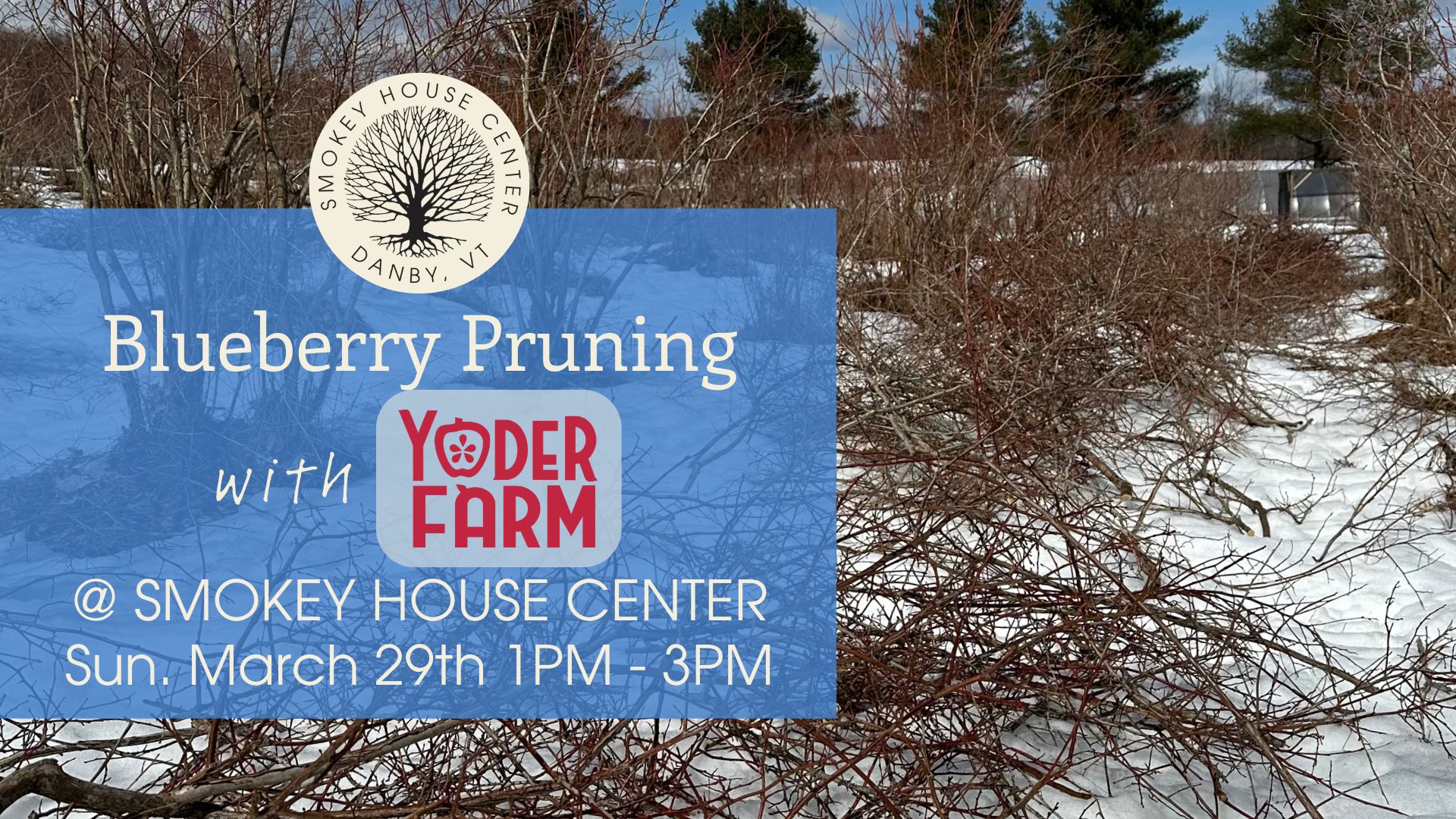 Yoder Farm | Danby VT