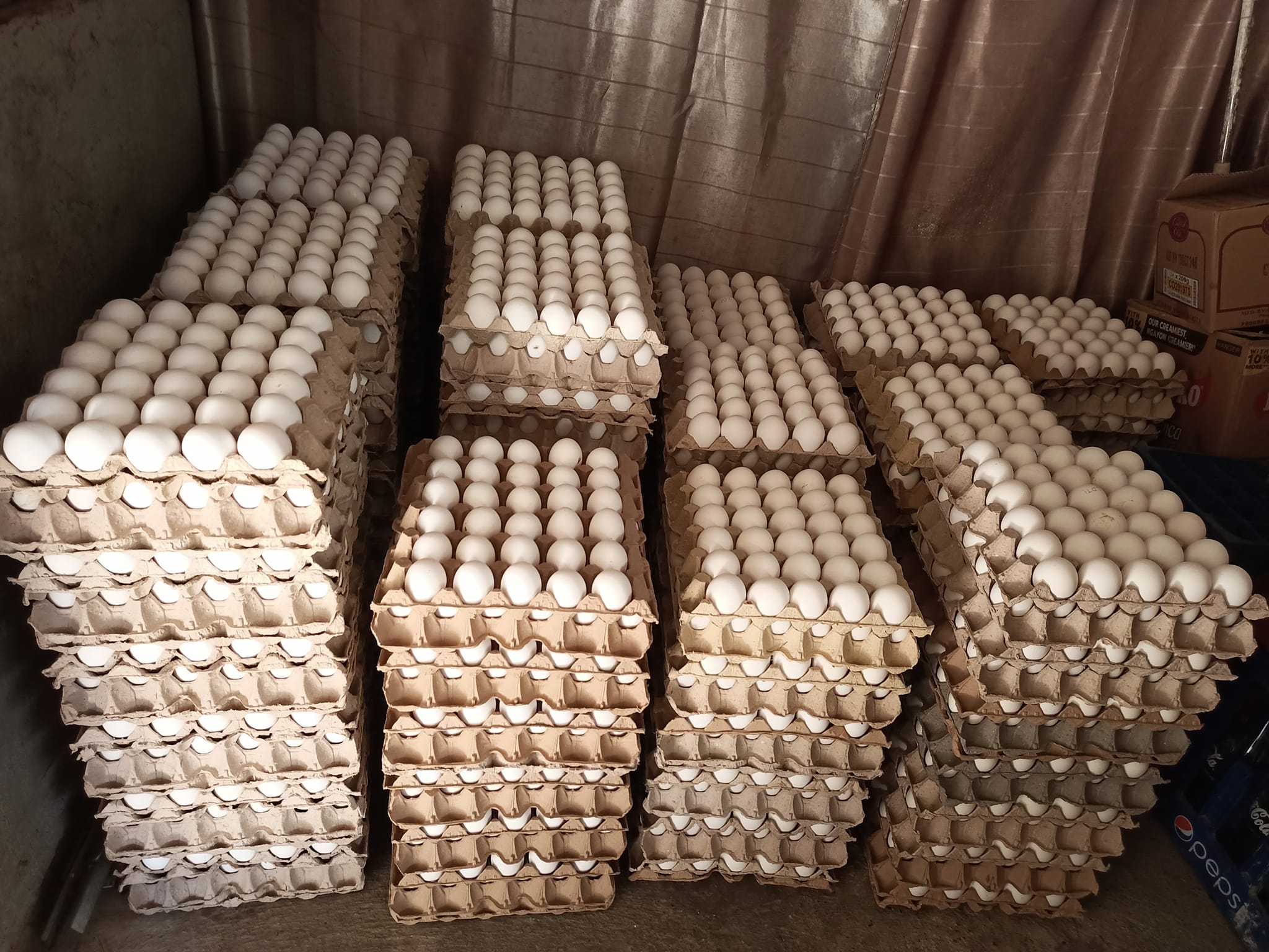 Skyler's Rice and Egg Trading