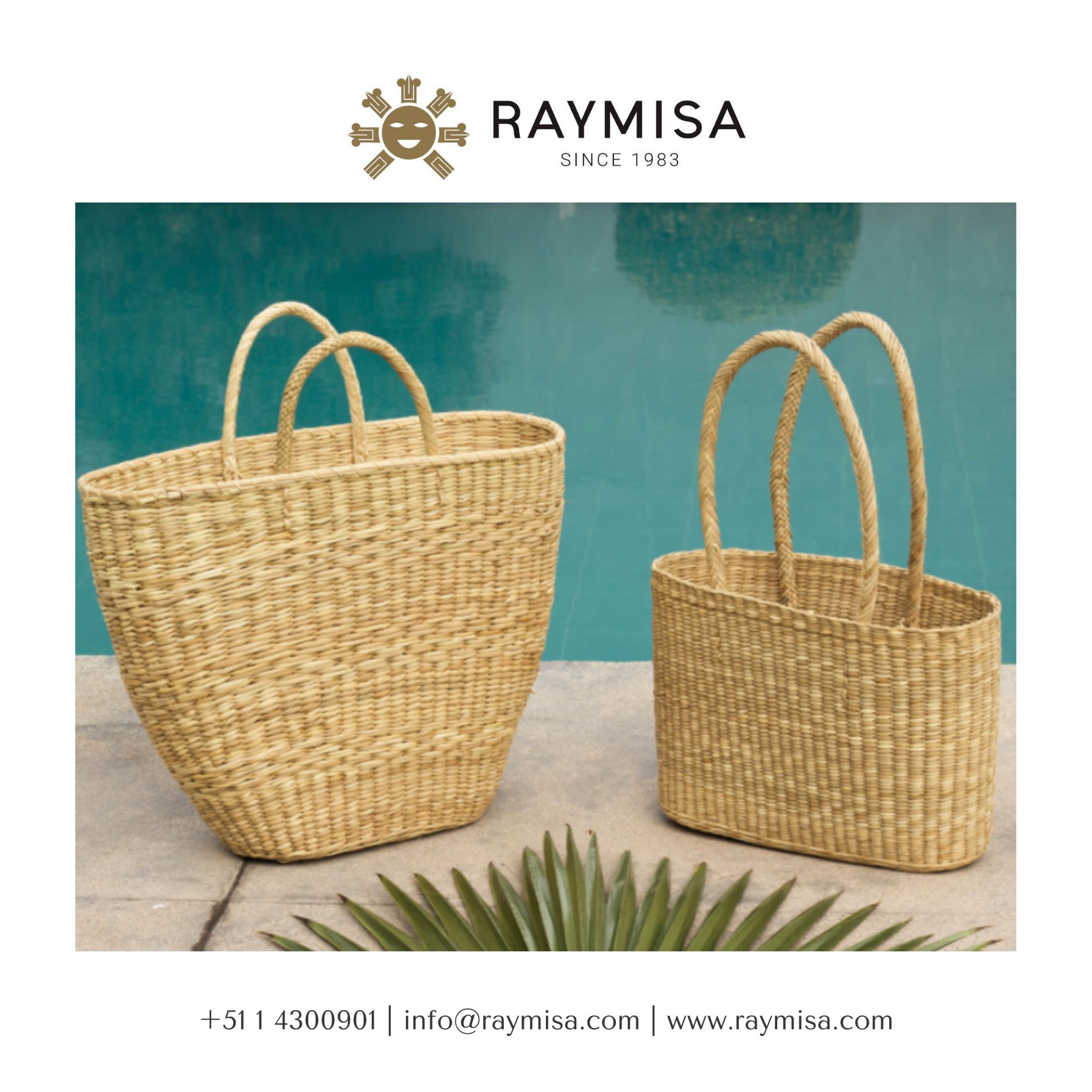 Raymisa