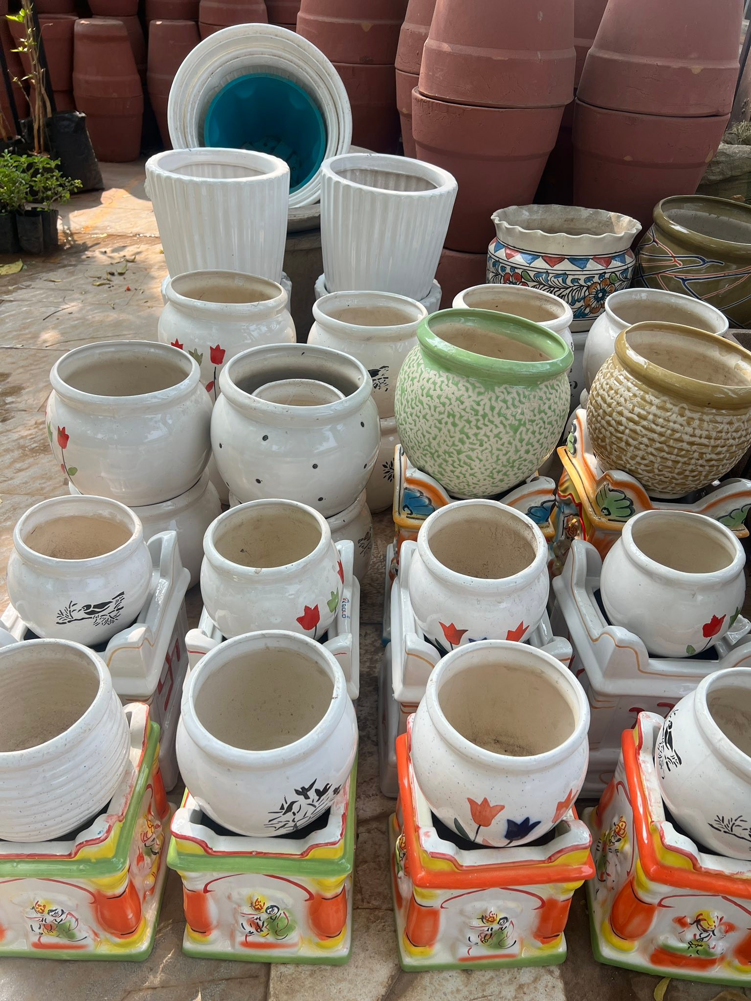 Gujarat Nurserymen Association | Ahmedabad
