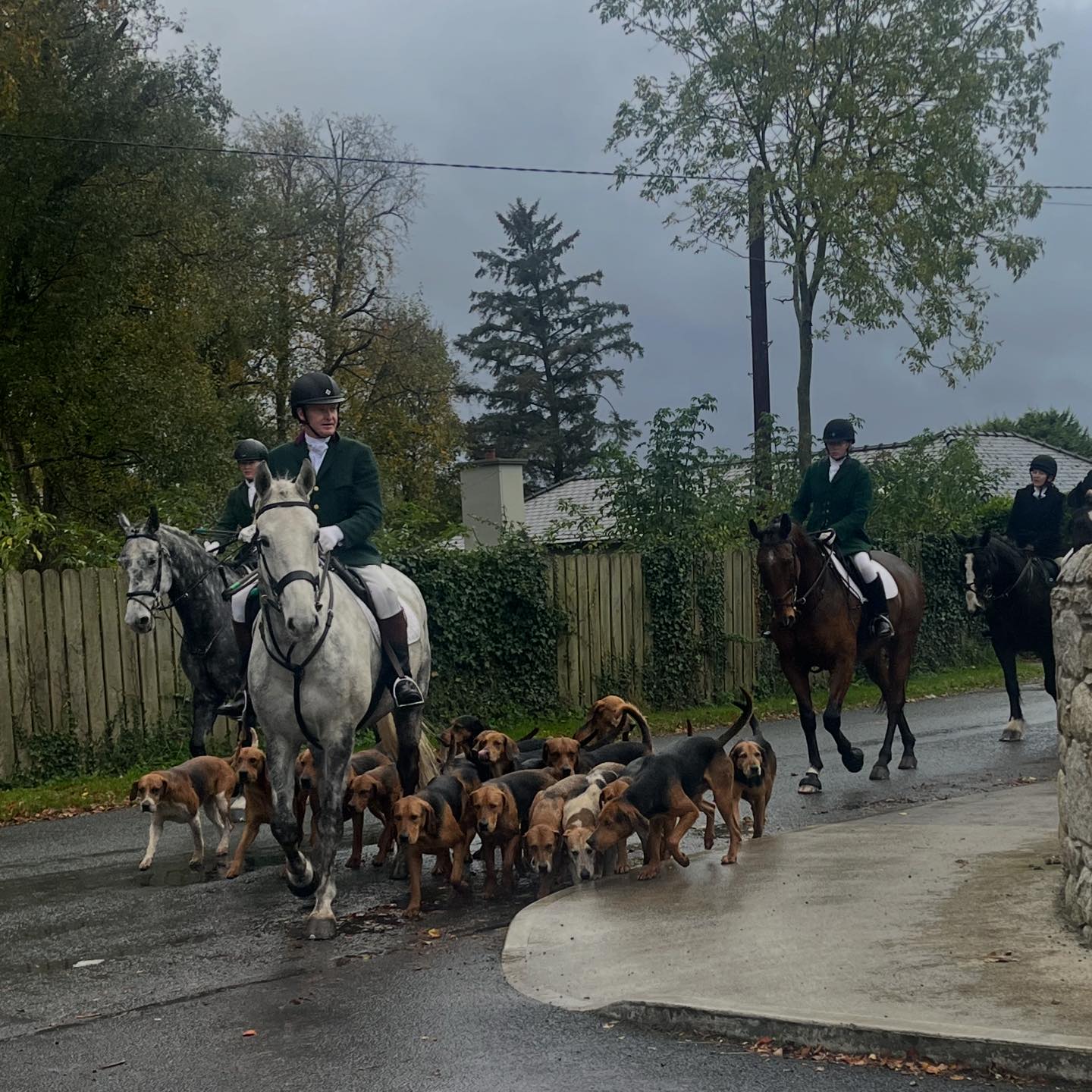 SCDH: Open Day All Welcome.... - South County Dublin Hunt | Facebook
