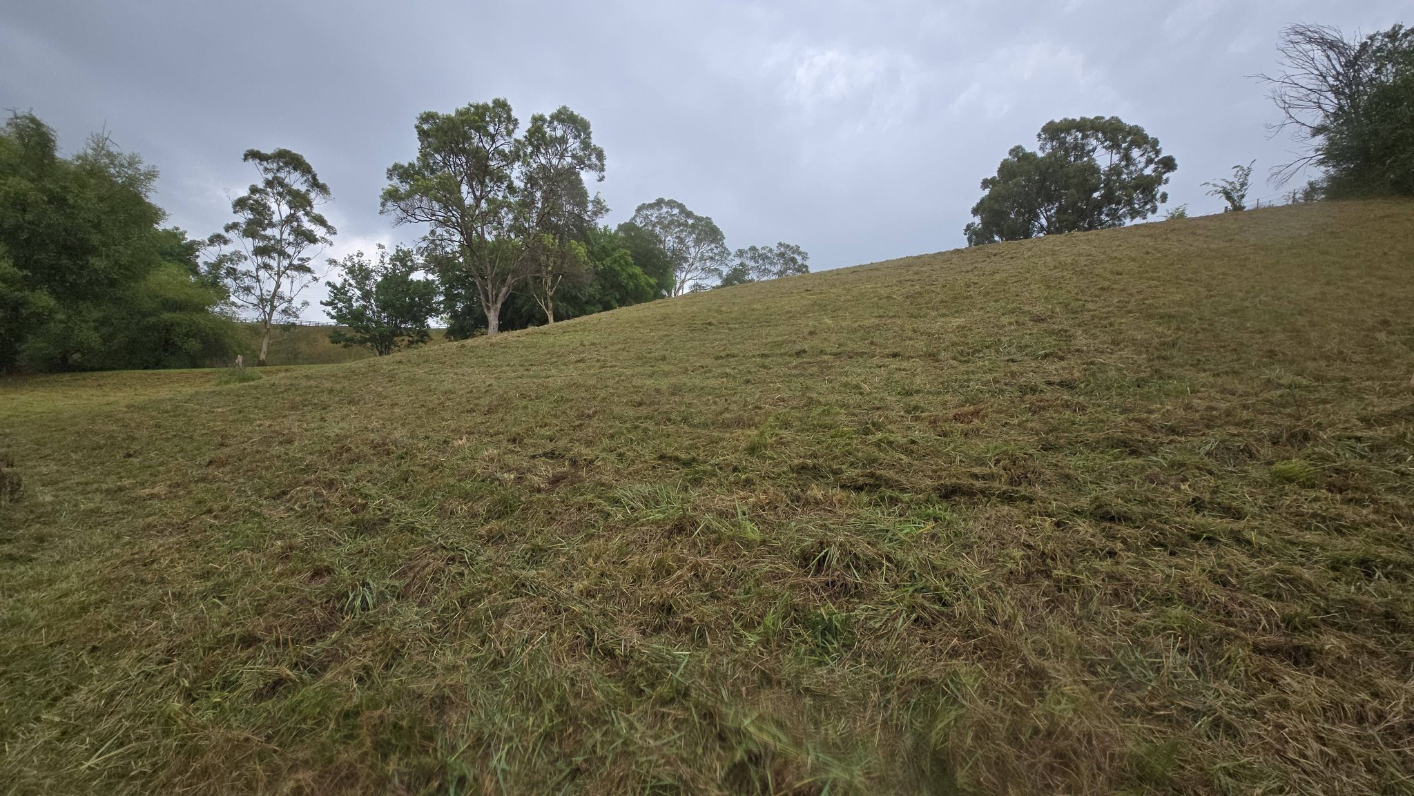 Perfect Pastures... - Perfect Pastures Landscapes and Mowing