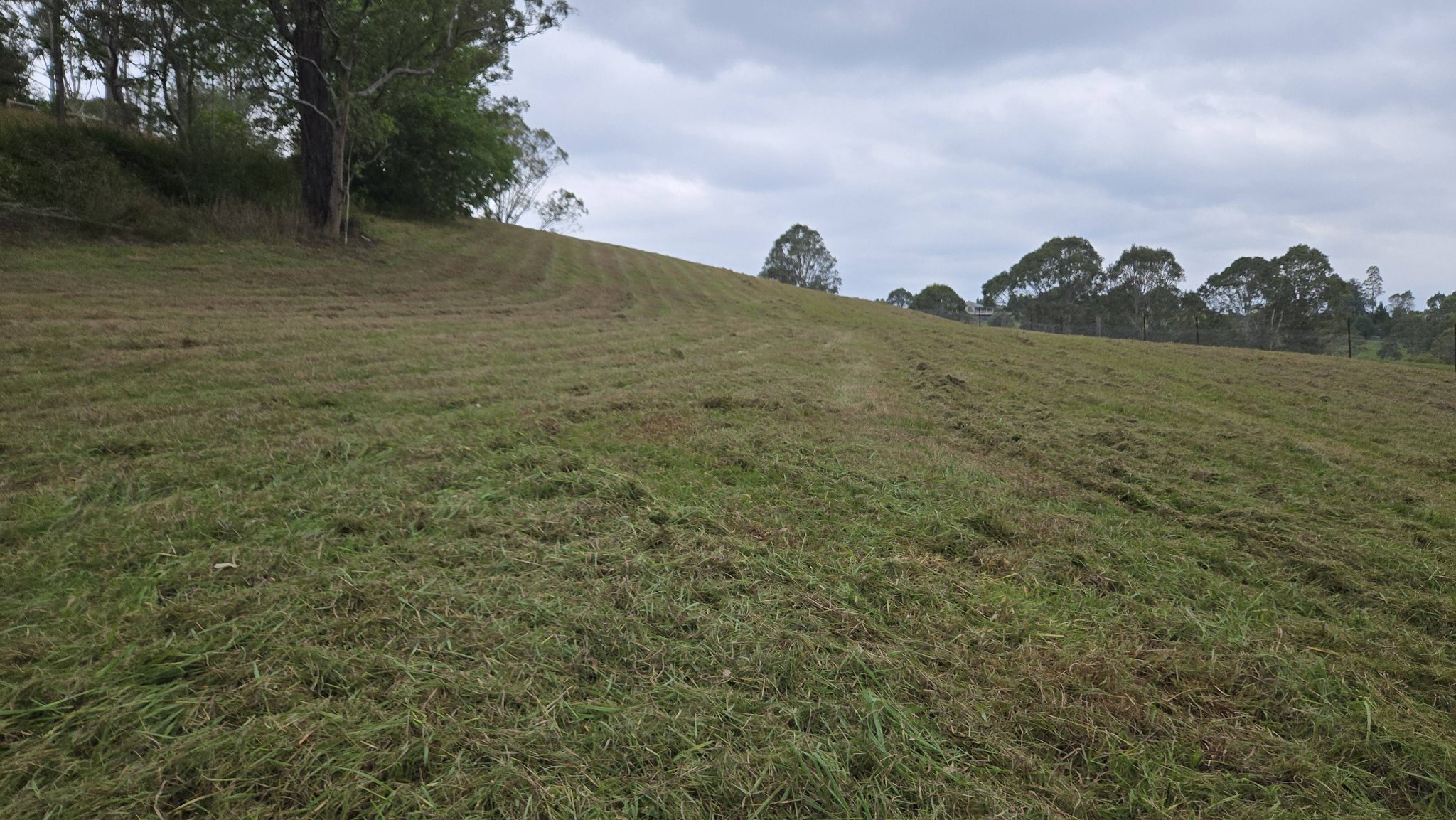 Perfect Pastures... - Perfect Pastures Landscapes and Mowing