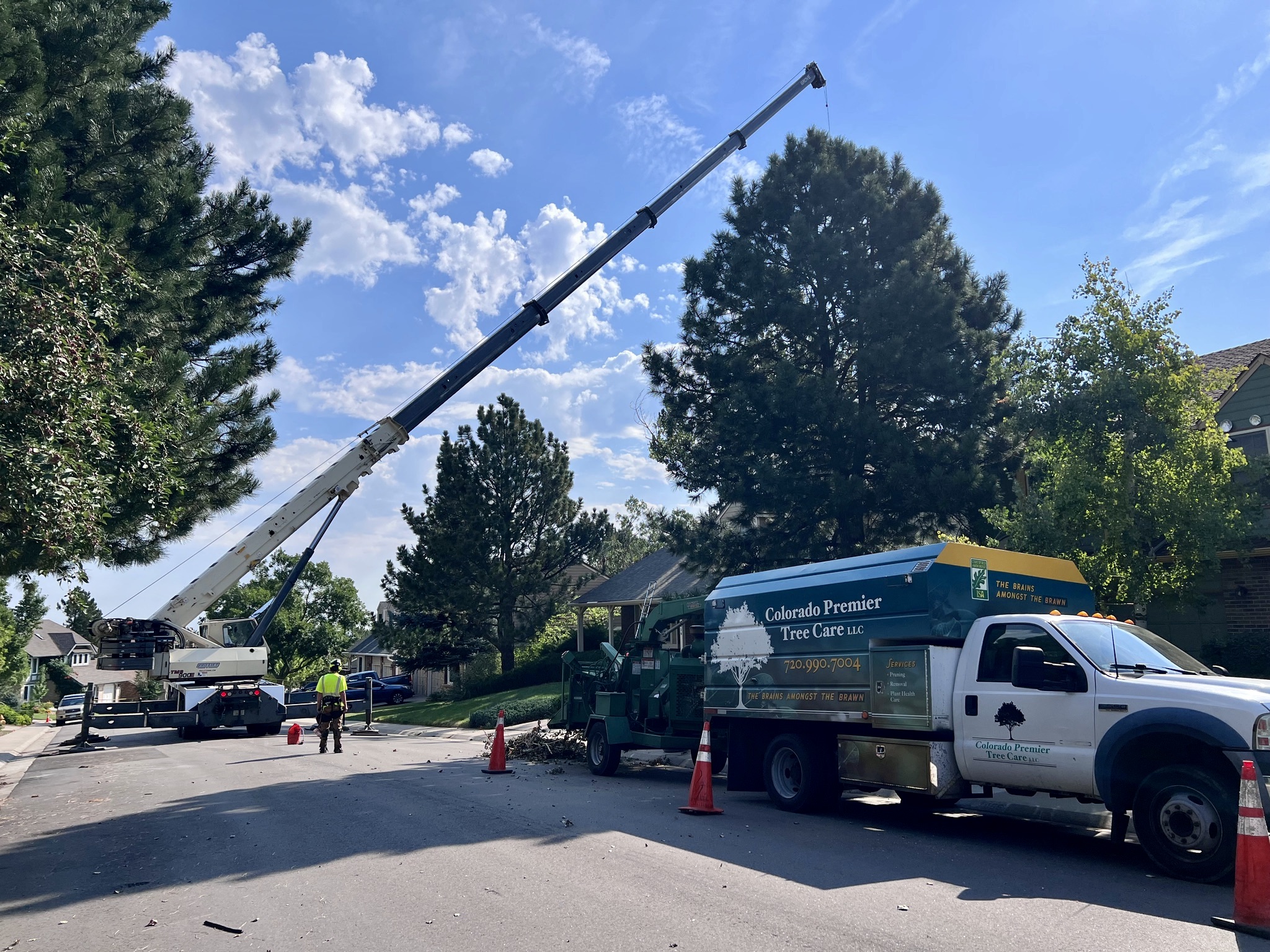 Colorado Premier Tree Care | Denver CO