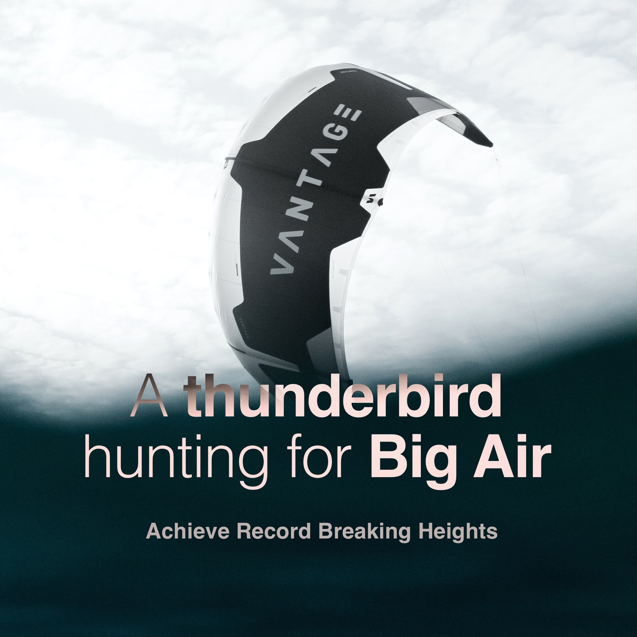 Vantage Vulture Gen4 kites for sale