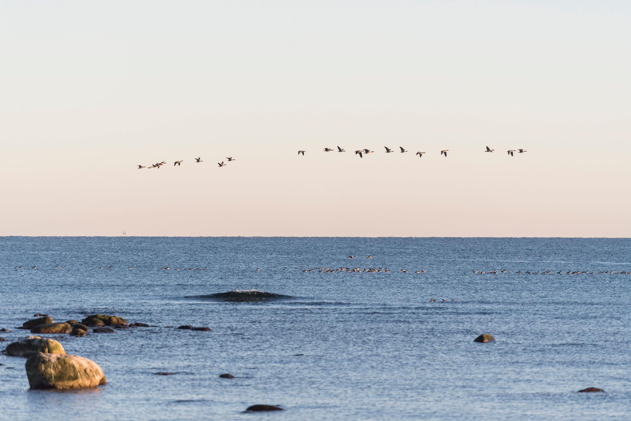 Valstad Missionshus - Om vägen ibland känns krokig och svår, låt oss ...