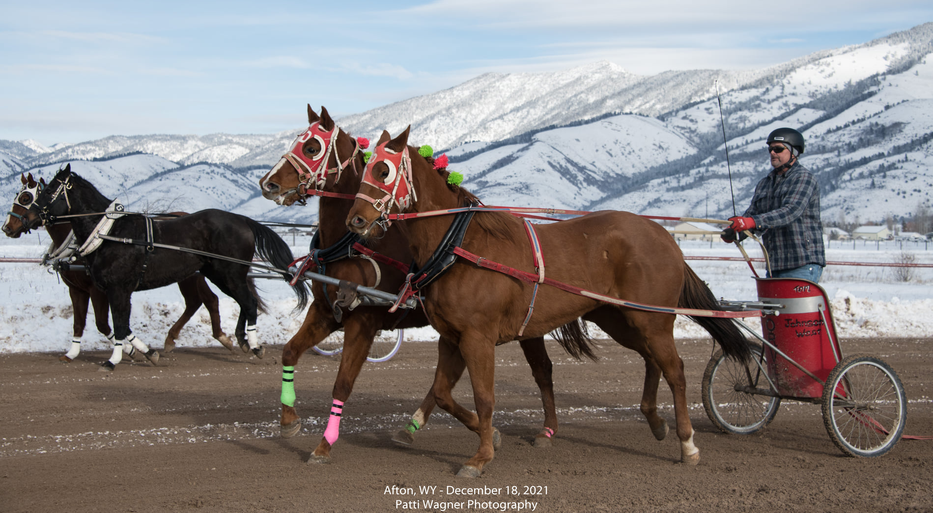 Our final... - All American Cutter/Chariot Races - Afton, WY