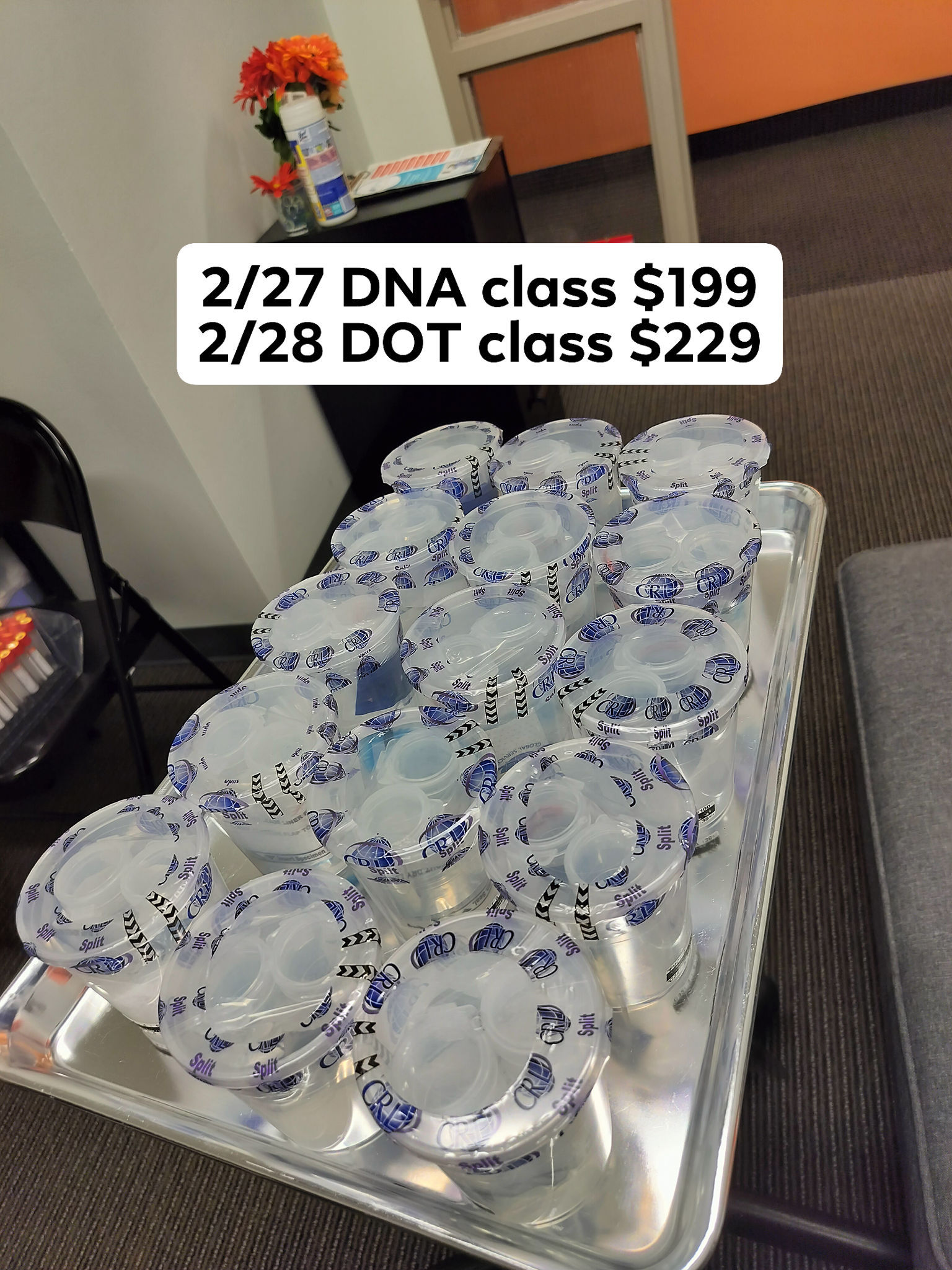 Coach - 🚨Friendly reminder 🚨 DOT & DNA classes are coming soon, order ...