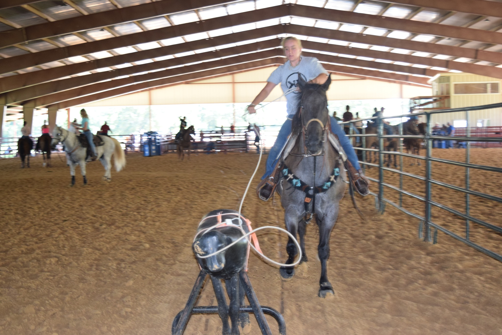 4H Calf Roping & Breakaway School