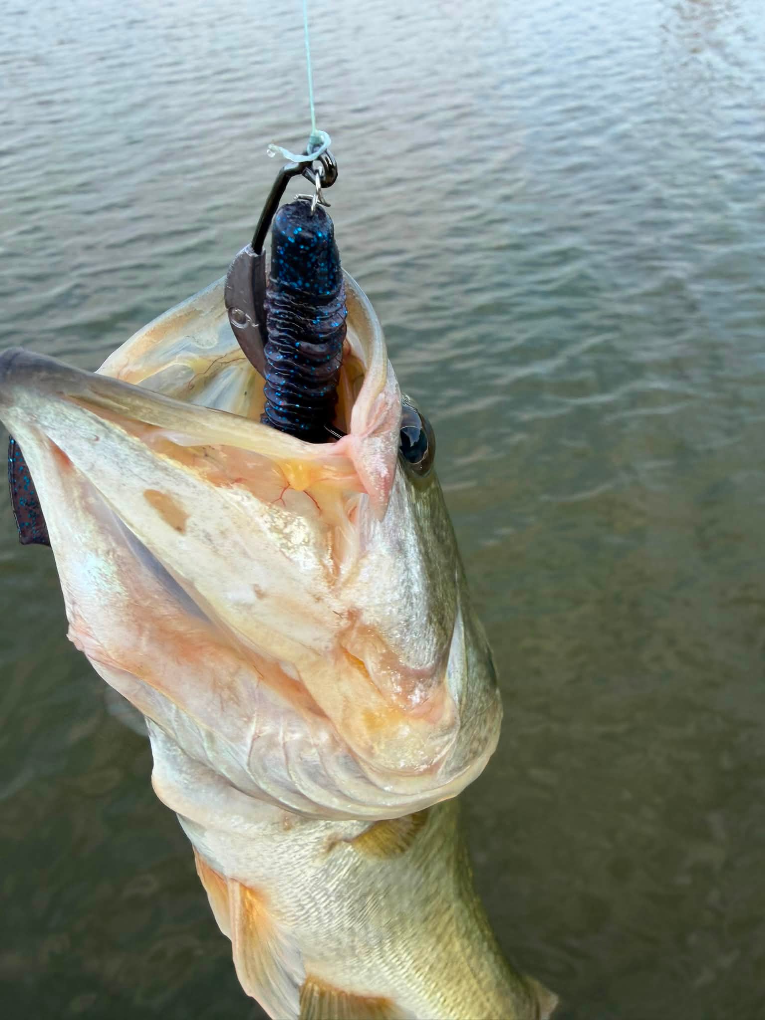 all owner fishing hooks Ringed Offshore Bait range of soft plastics Rod Color:ORANGE Making Fishing Skirts is twitch