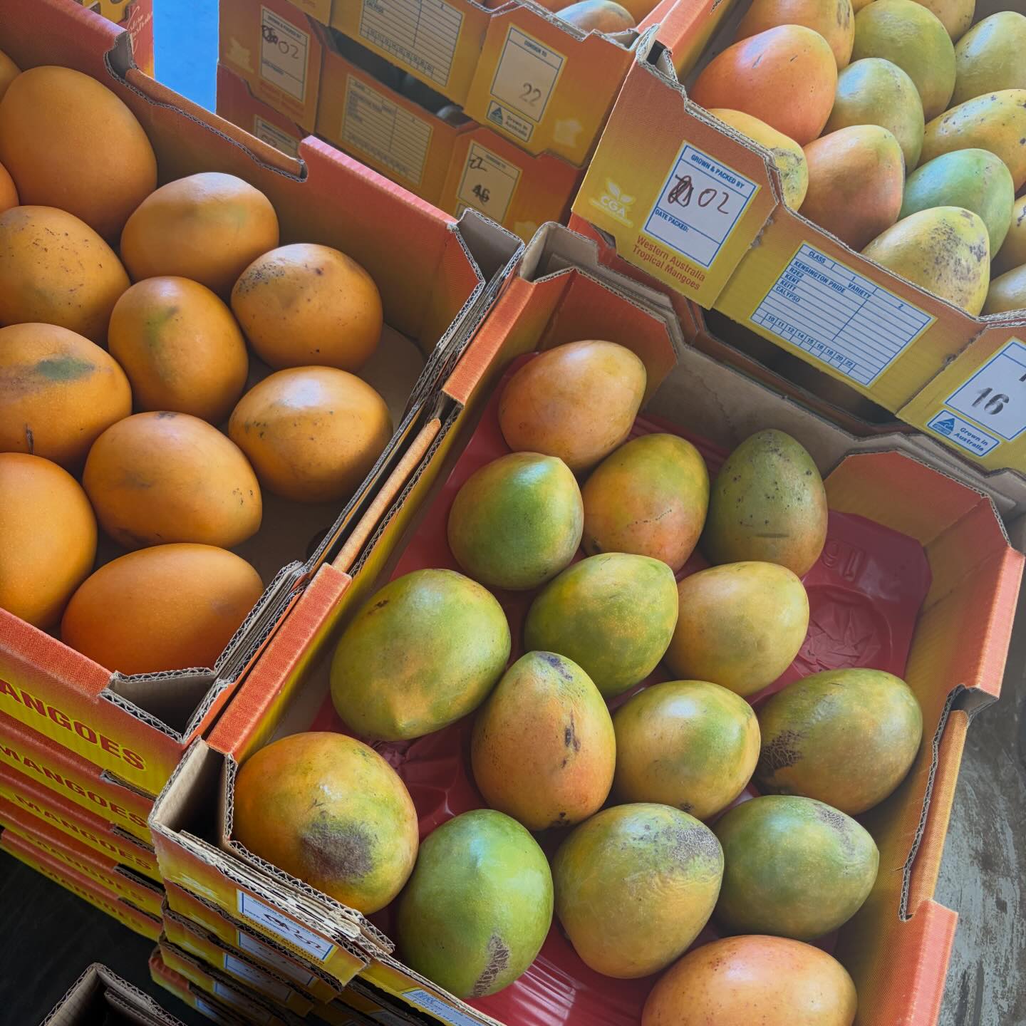 🥭 The Mango Project is back this... - The Peel Produce Market | Facebook