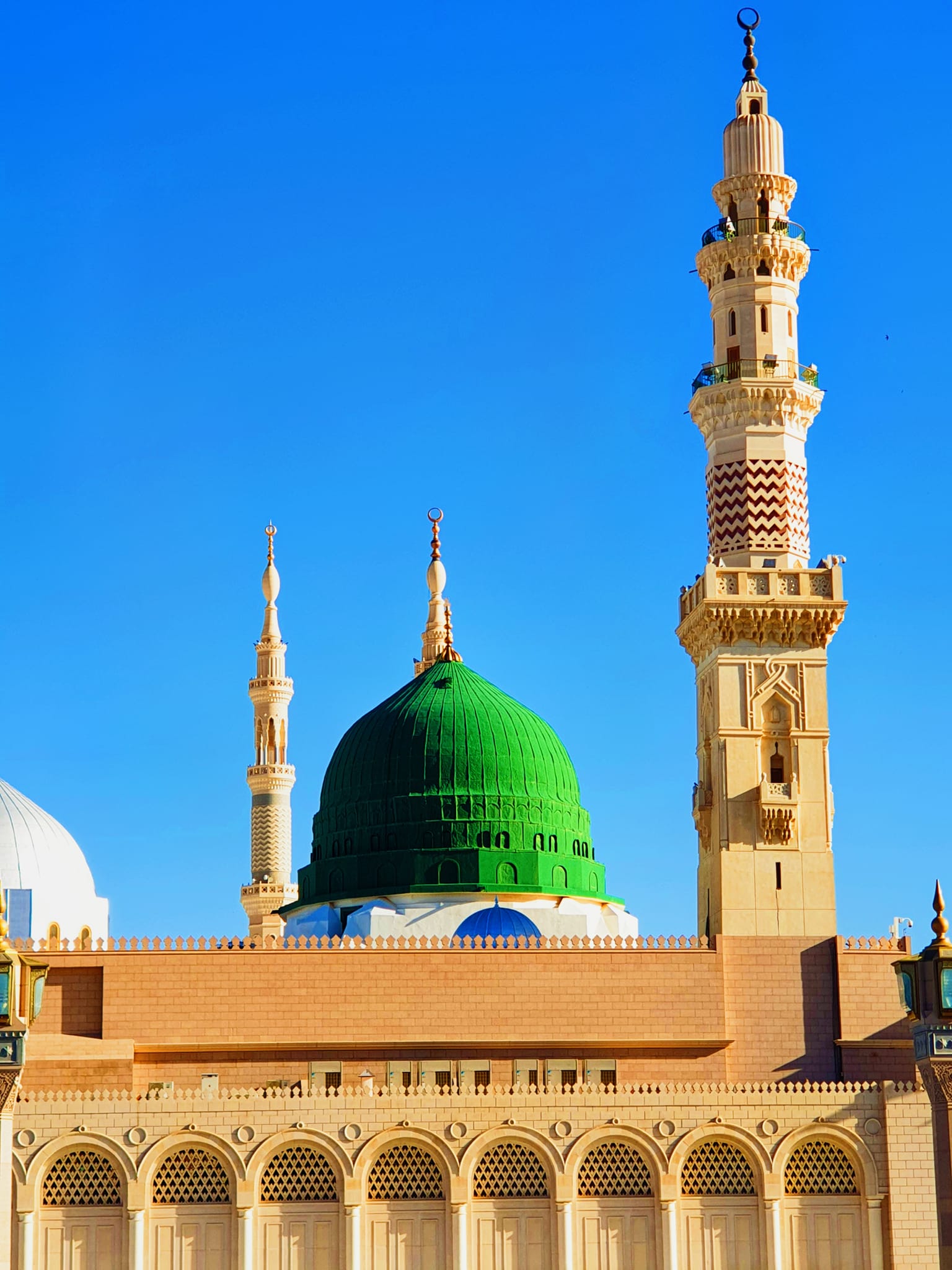 Sabib