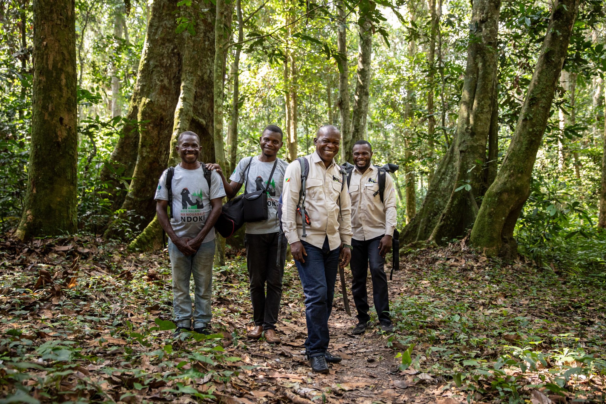 Forest - Forests thrive when people benefit. Built on 30 years of ...