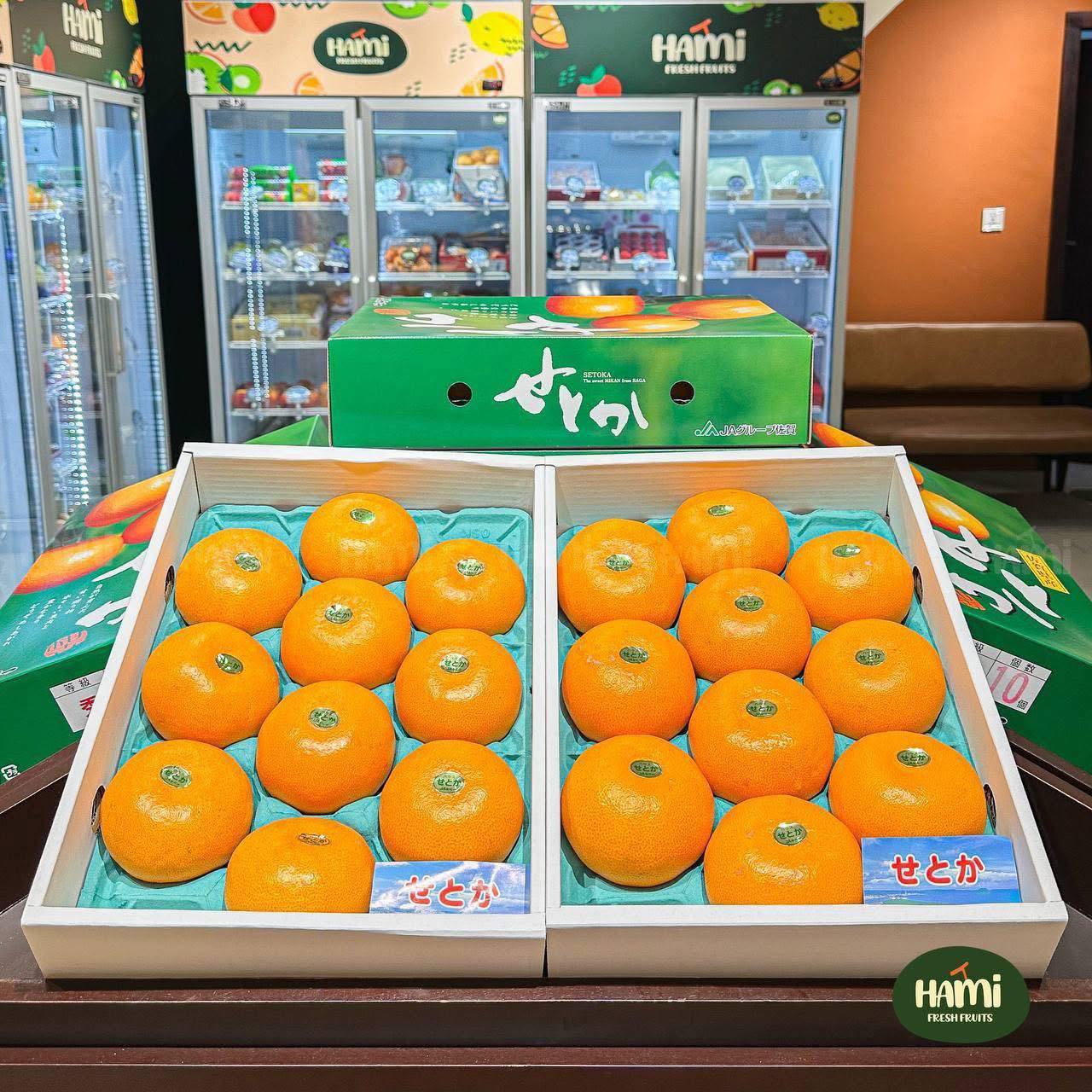 こたつみかん✩✩✩ Japanese Ehime Setoka Mandarin Orange Gift Box 🍊🇯🇵 Setoka