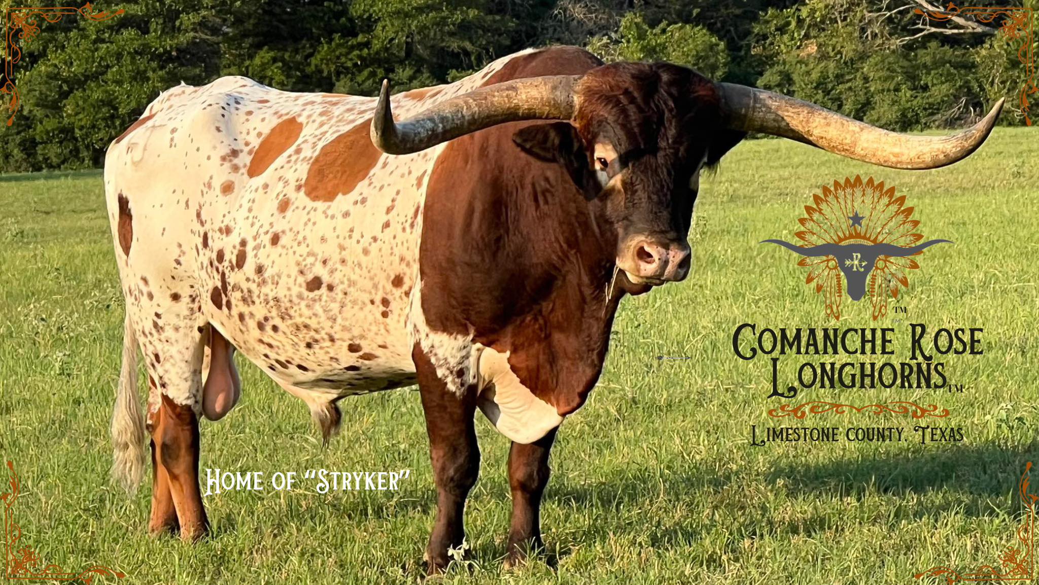 Comanche Rose Ranch | Groesbeck TX