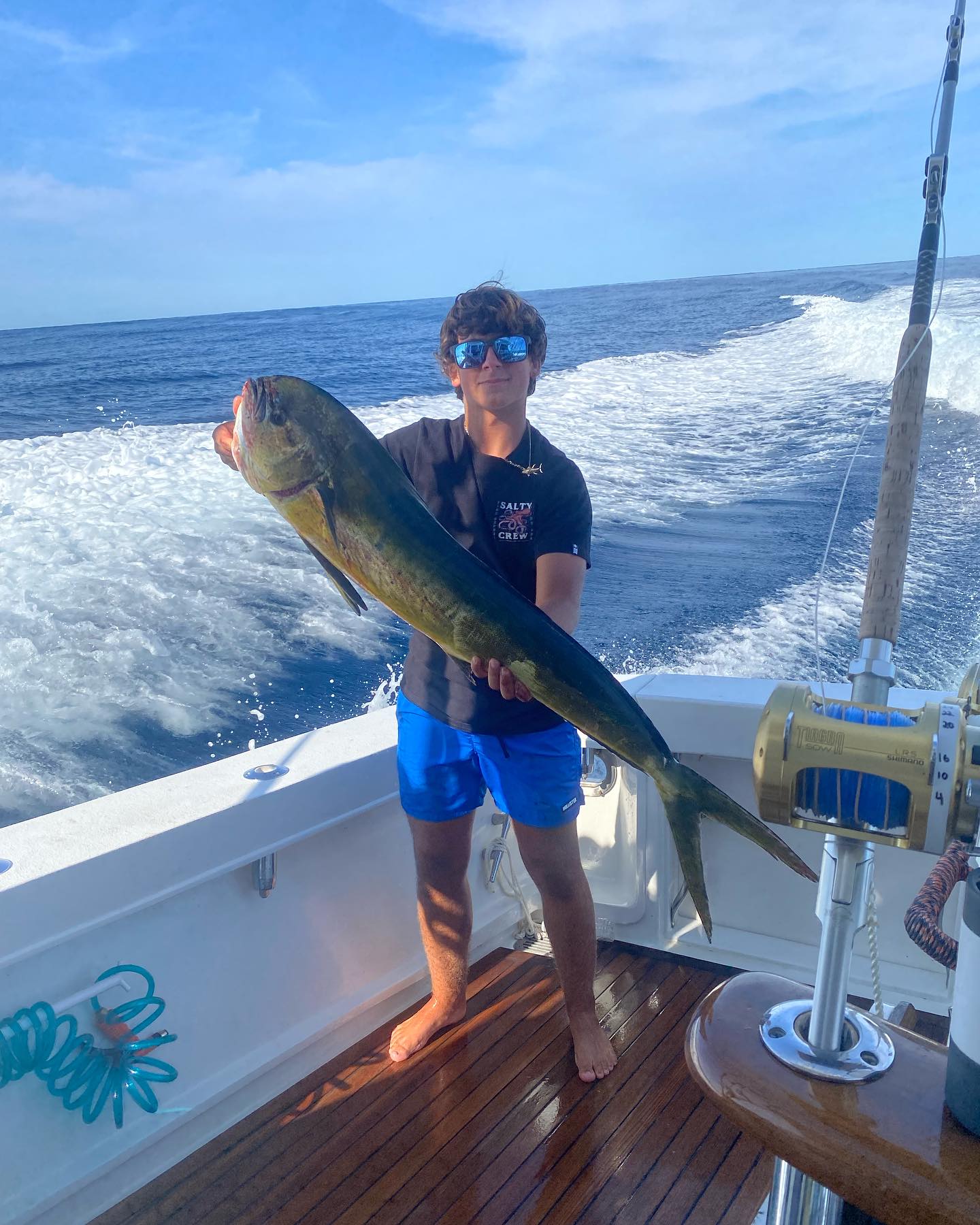 Fresh Mahi Mahi dolphin caught today $16-lb
