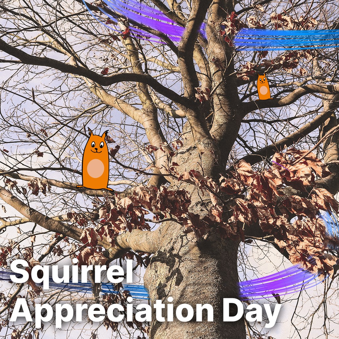 MS3 Networks - Happy Squirrel Appreciation Day! 🐿️🌐 Shoutout to ...
