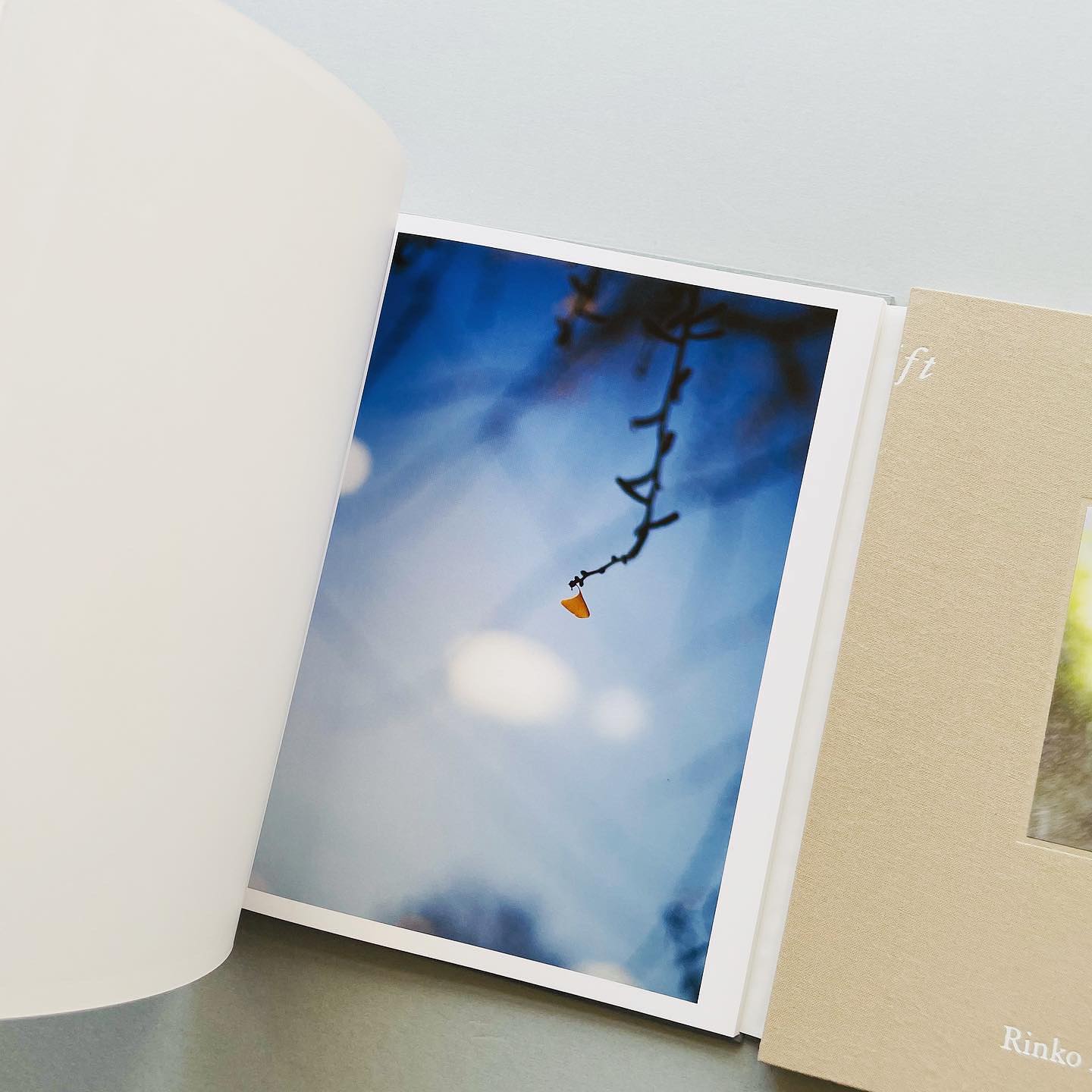 new stock］ Gift｜川内倫子 テリ・ワイフェンバック Rinko Kawauchi 