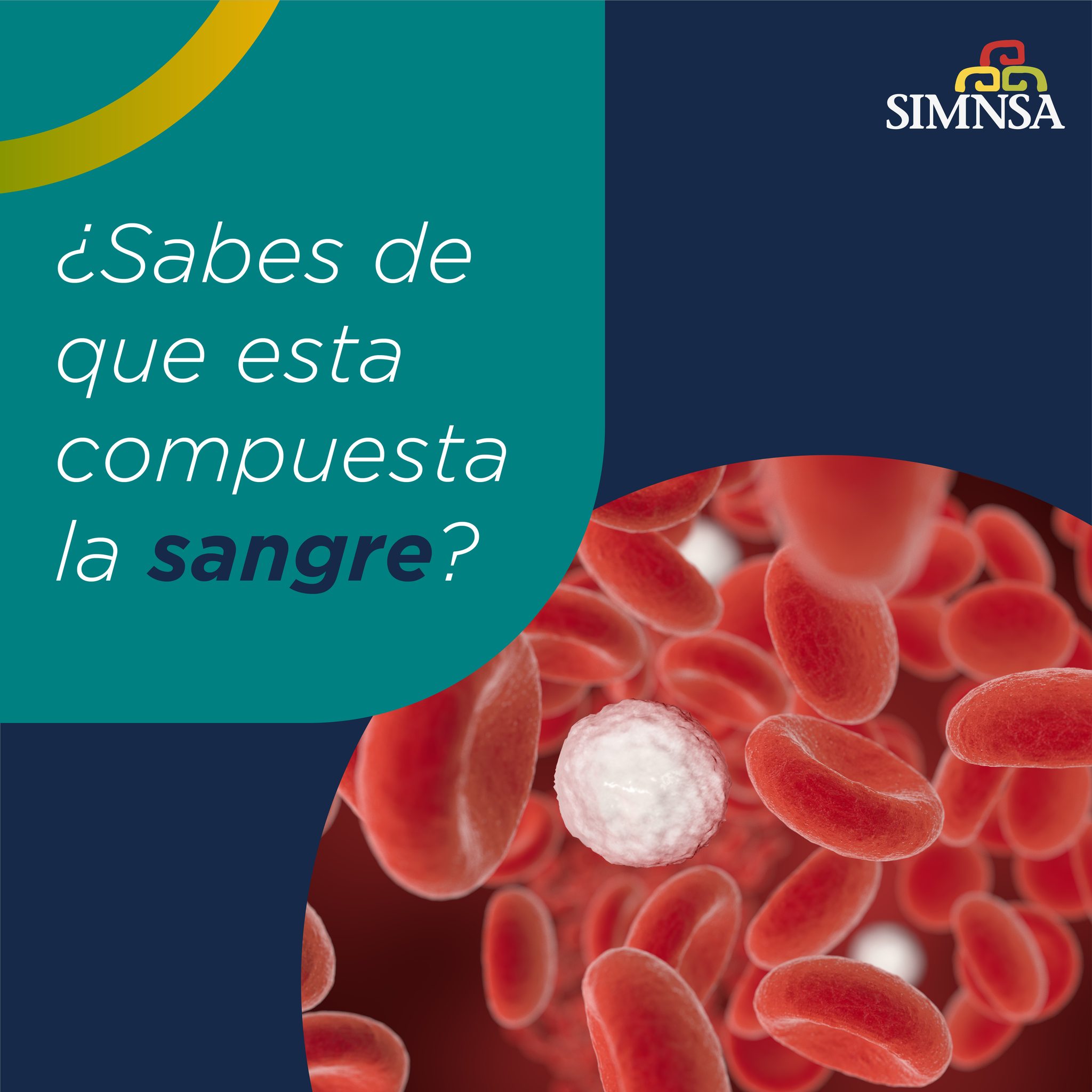 ¿Conoces de que está compuesta la... - Simnsa Health Care | Facebook