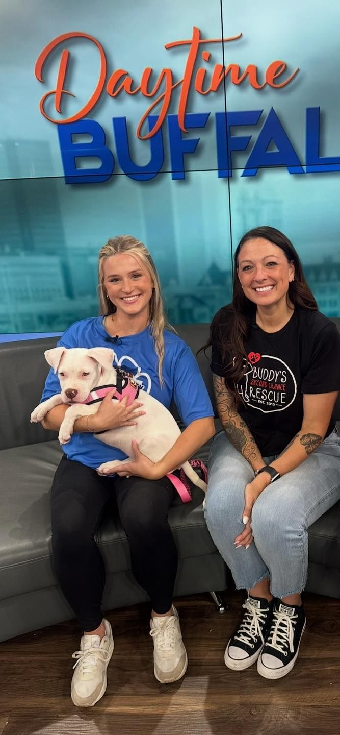 Buddy's Second Chance... - Buddy's Second Chance Rescue