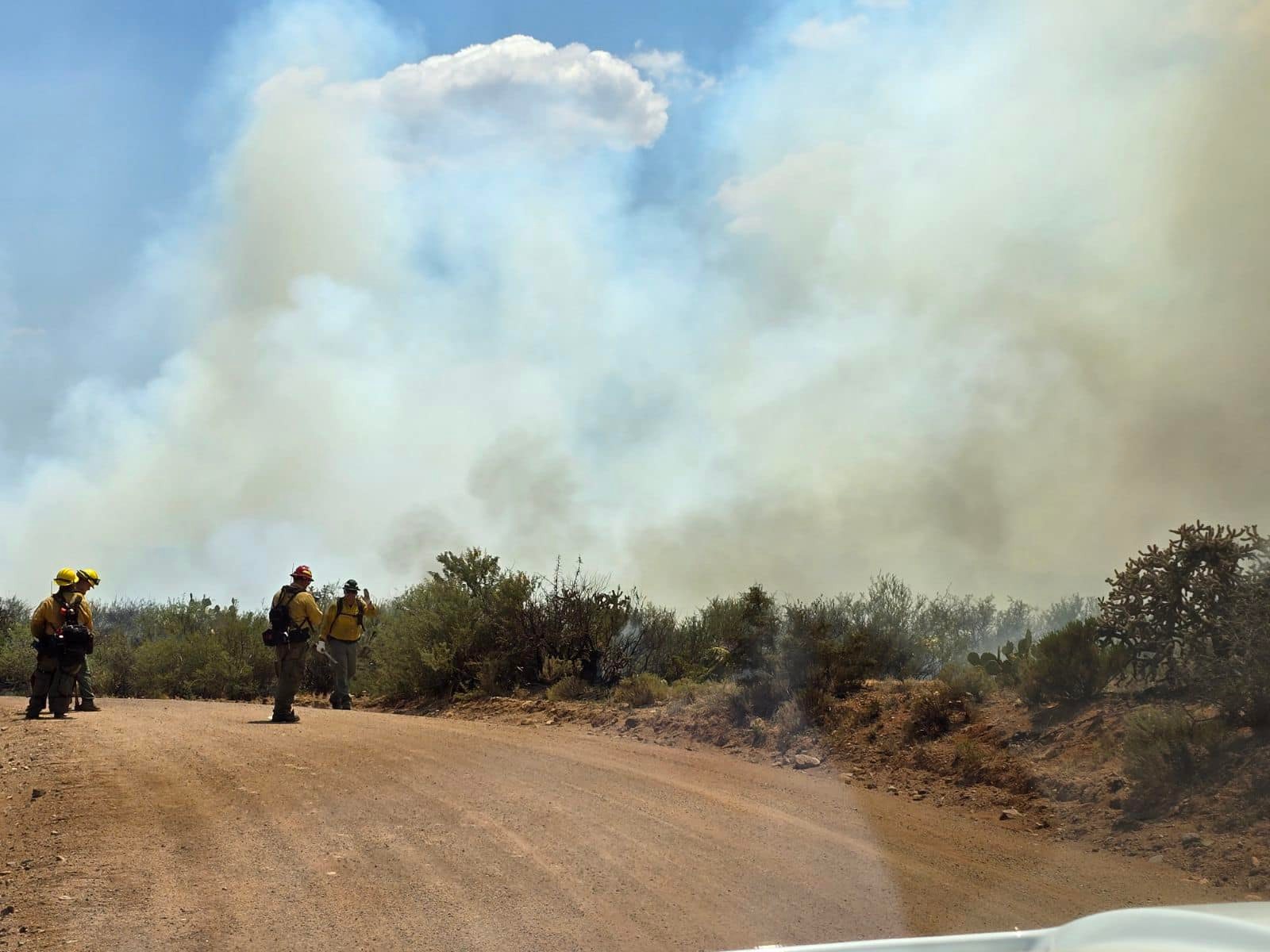 Pinion Pine Fire District | Kingman AZ