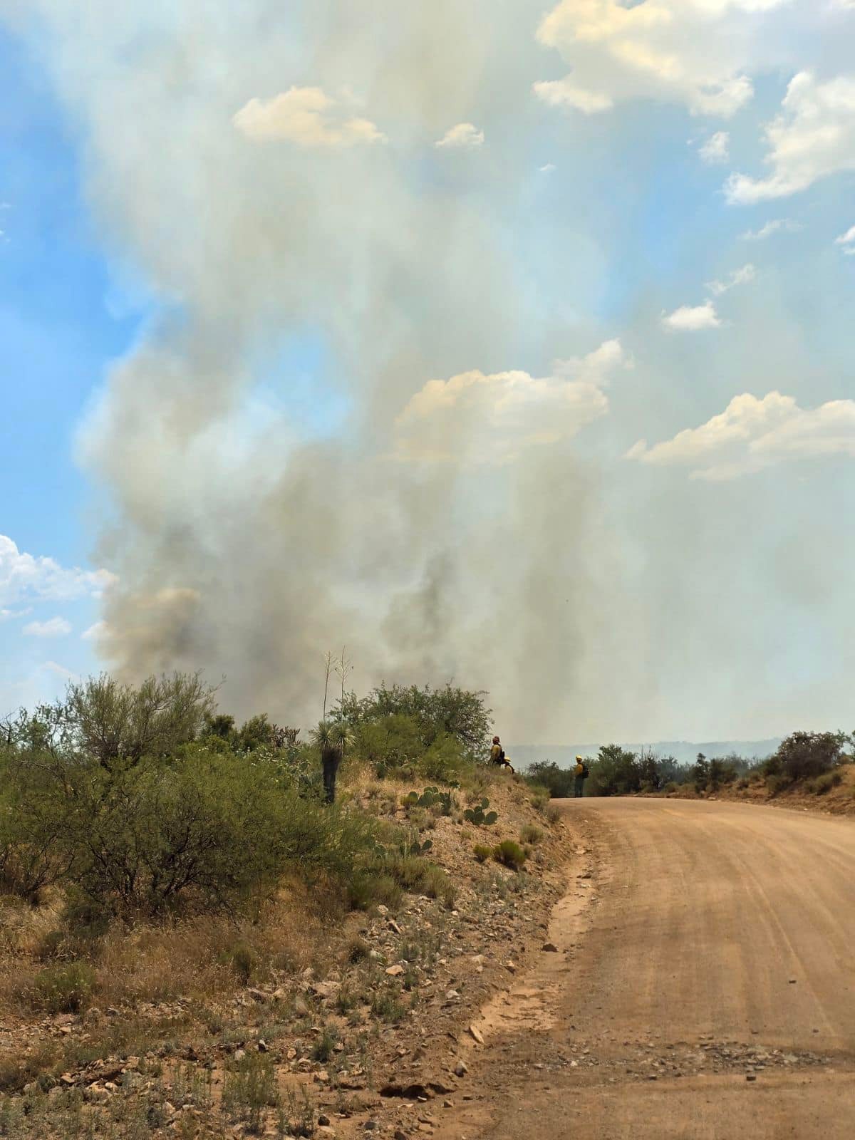 Pinion Pine Fire District | Kingman AZ