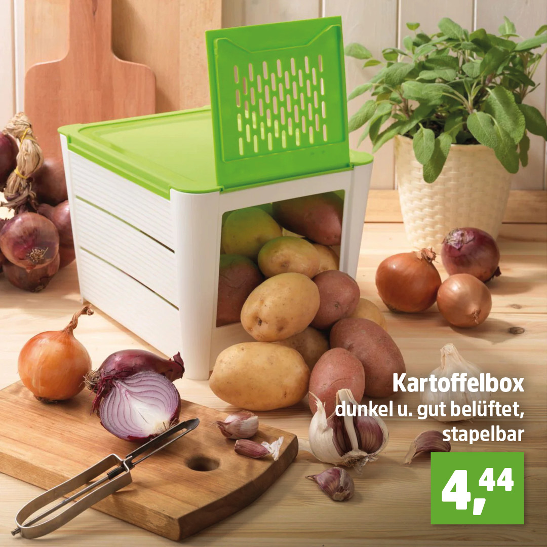 Der perfekte Aufbewahrungsort für Kartoffeln🥔 und Zwiebeln🧅: Diese Box ist dunkel, gut belüftet und kann für den großen Vorrat dazu auch noch gestapelt werden. Jetzt in unseren Märkten entdecken. #t