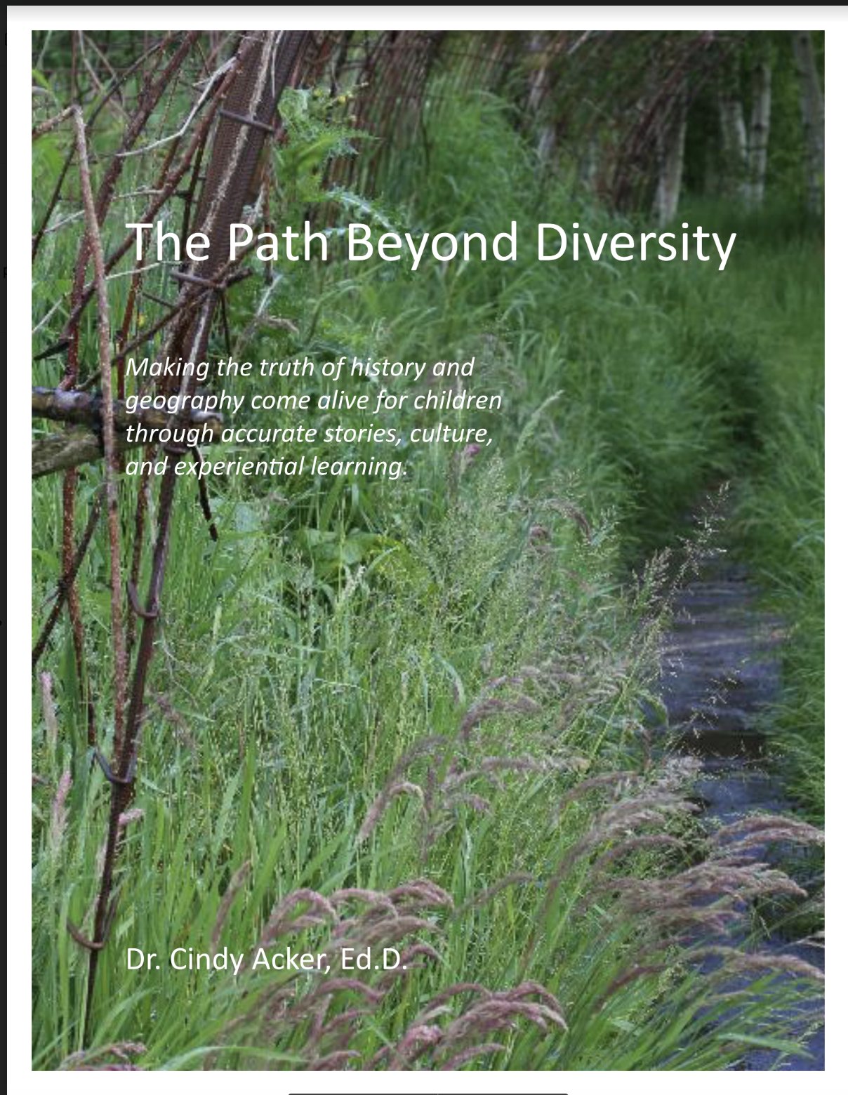 The International - The Path Beyond Diversity by Dr. Cindy Acker is now ...