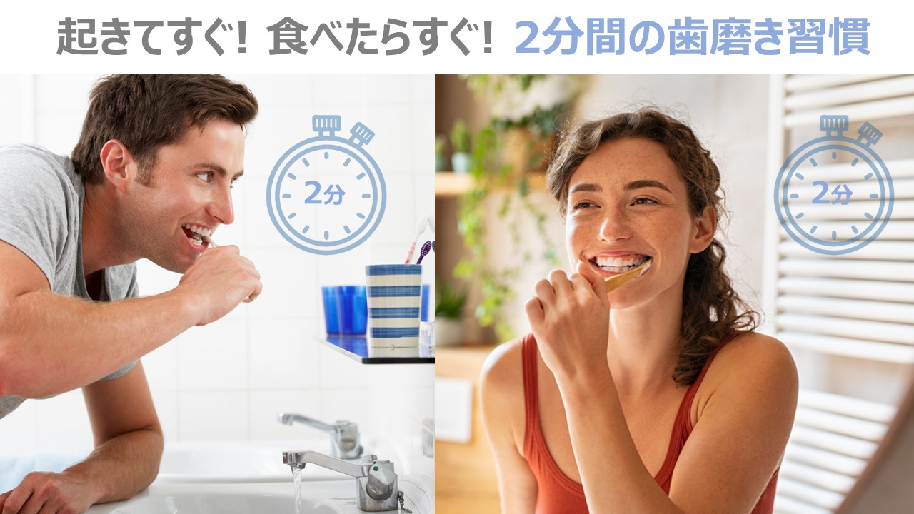 スプリーデント™ 2ミニッツ 電動パワー歯ブラシ」 1月15日（水）一般