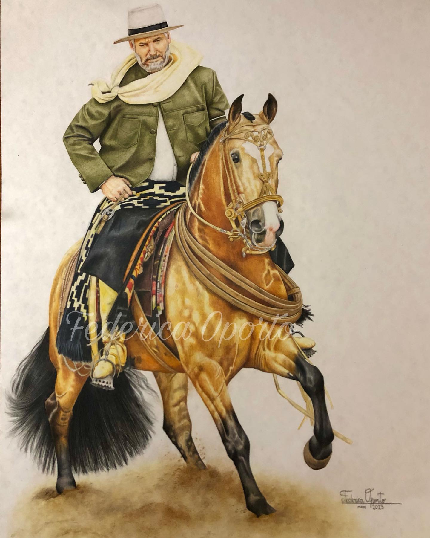 mi-pasi-n-por-los-caballos-oporto