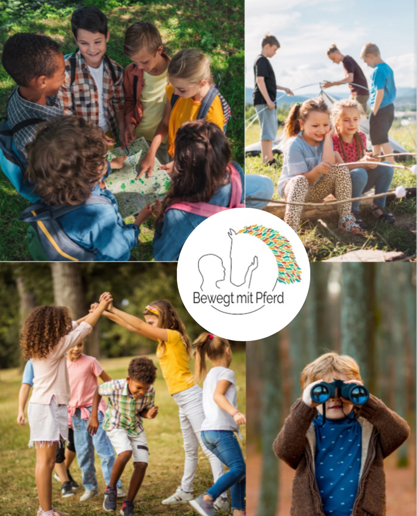 🌲 Neu ab 2026 auf dem Begegnungshof... - Bewegt mit Pferd | Facebook