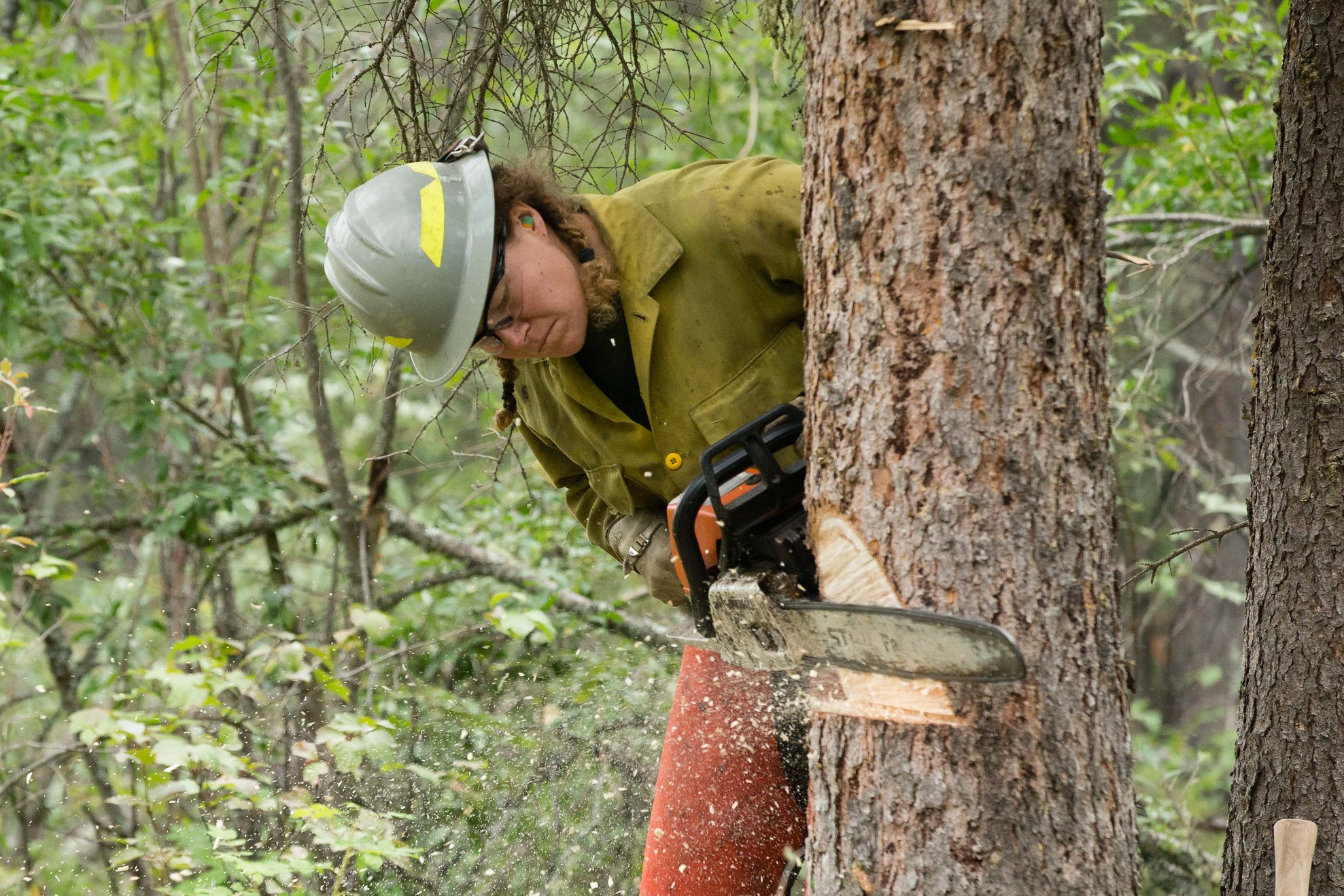 National Wildfire Coordinating Group - Snags are dead, standing trees ...