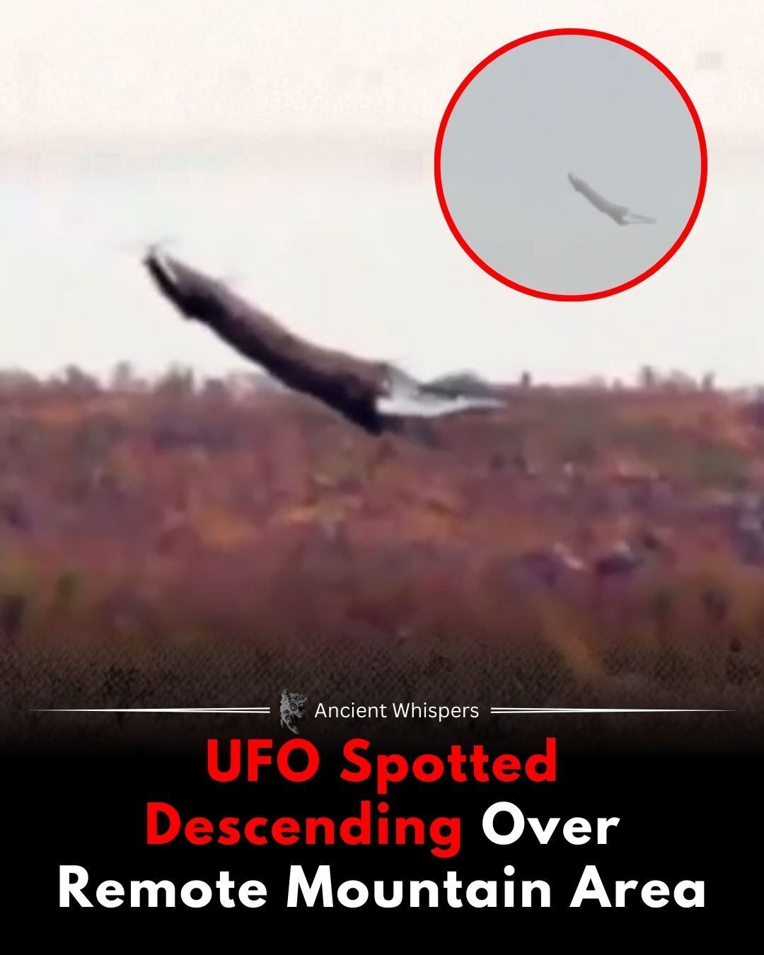 Both videos show a thermal image of an unidentified flying object.