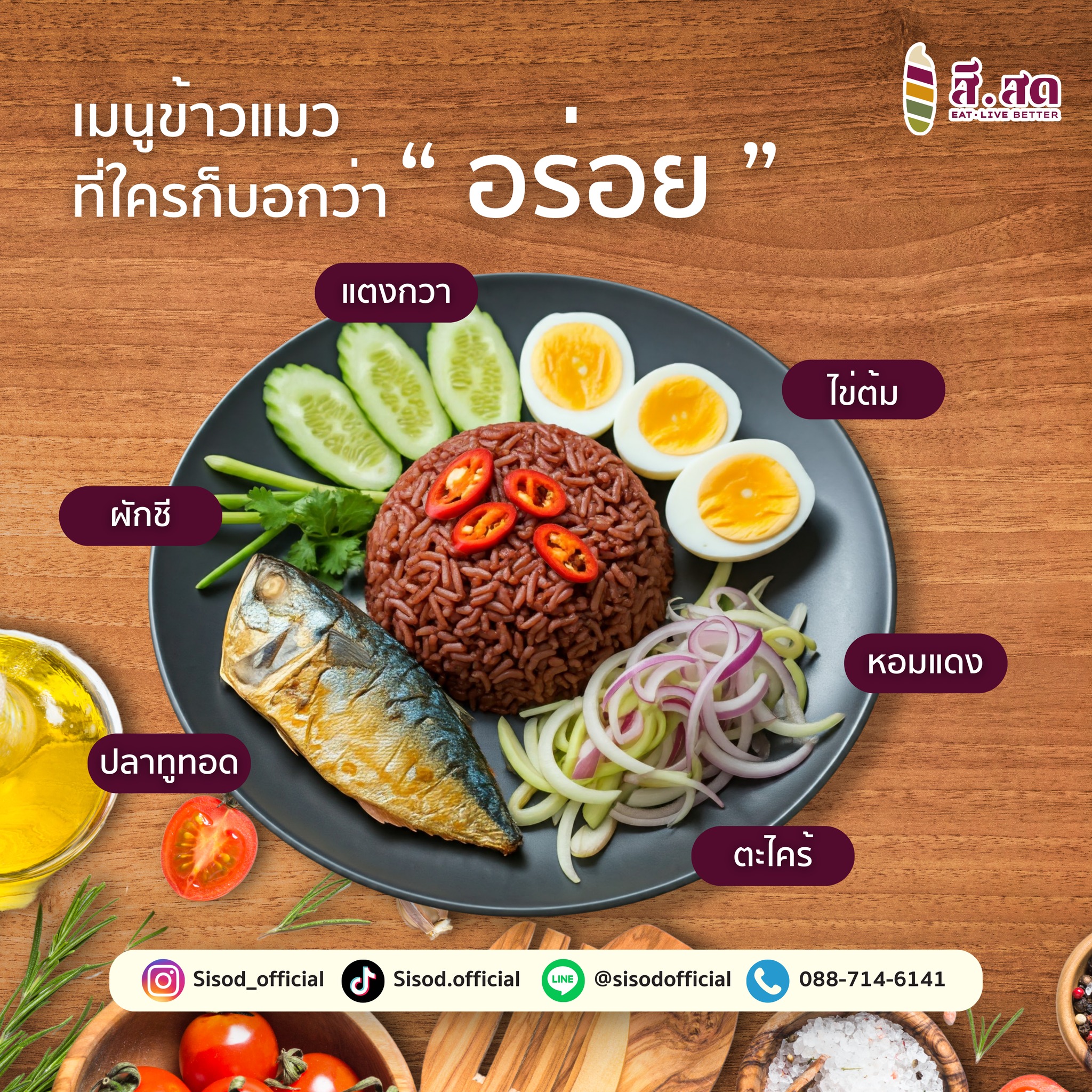 สีสด - SISOD - ข้าวแมว ที่ทุกคนทานแล้วบอกอร่อยสุดๆๆ... | Facebook