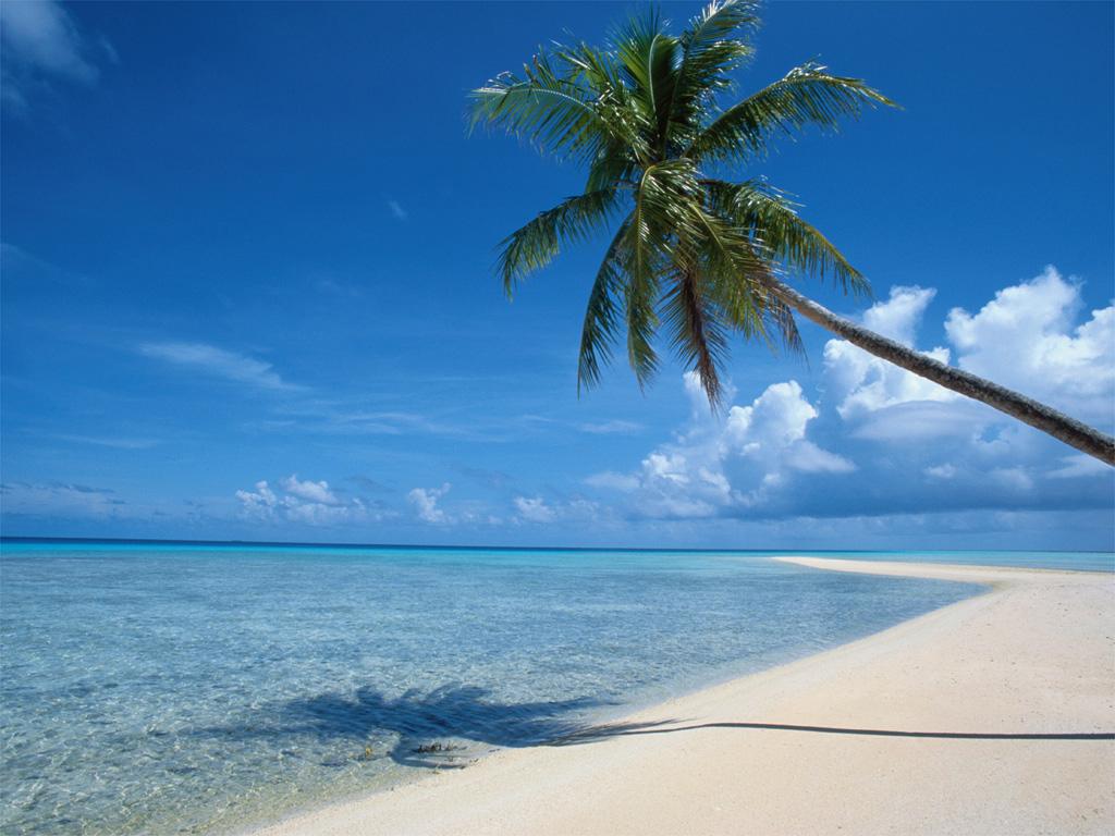 Jackie Ragan