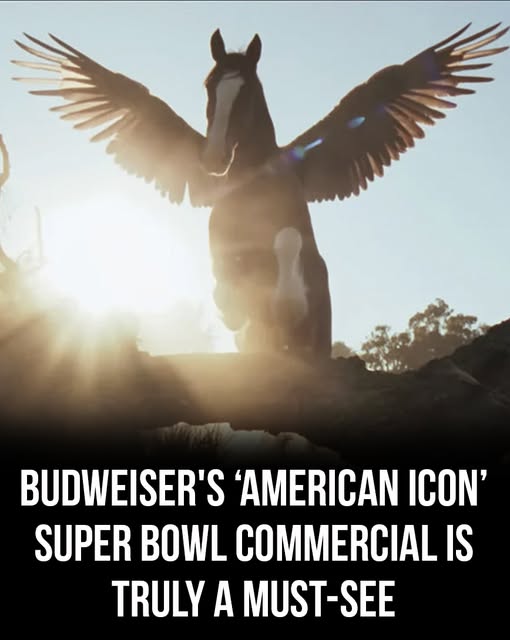 Sentimental - Budweiser’s new “American Icons” Super Bowl commercial is ...