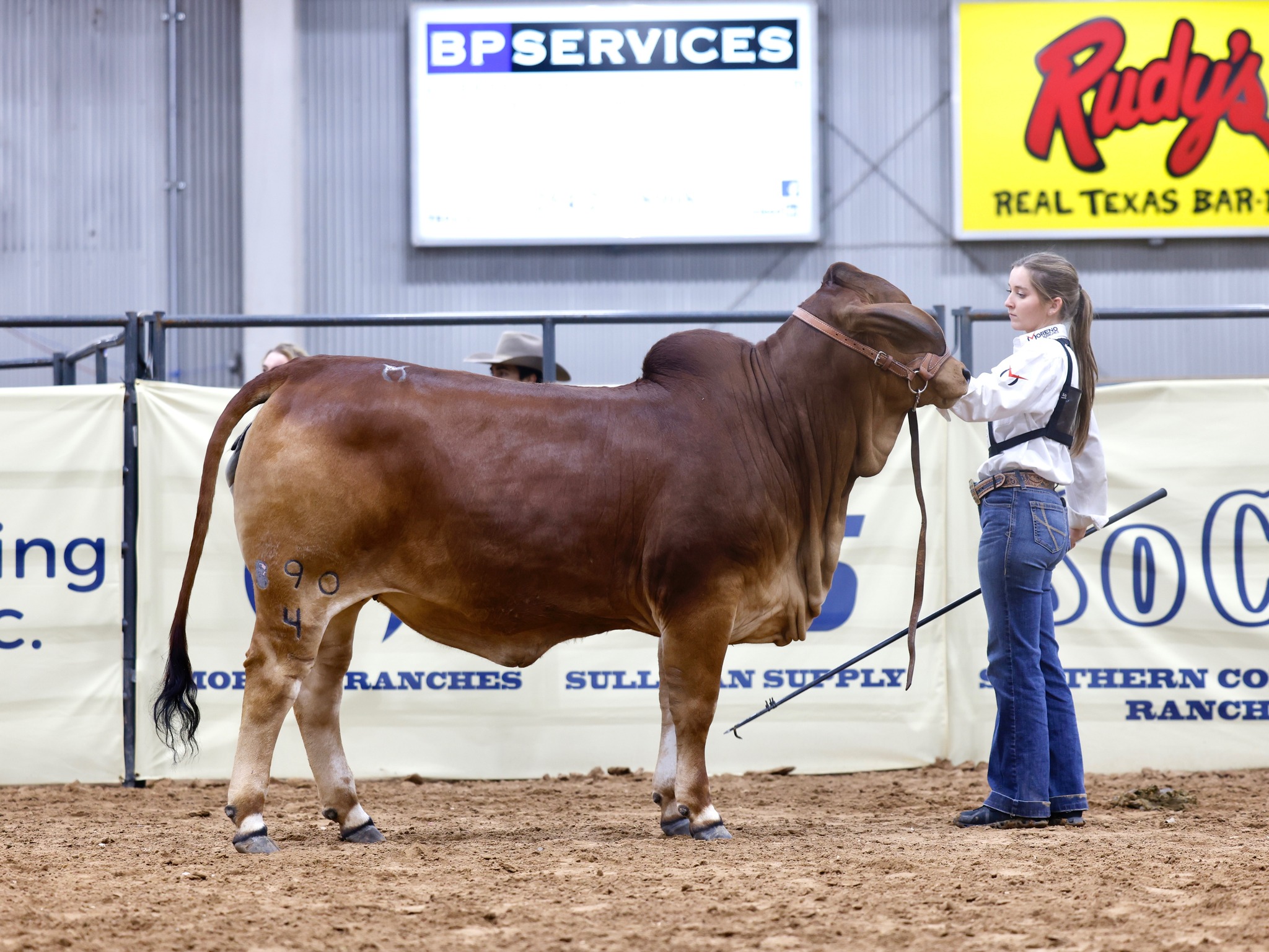 2026 HEART OF TEXAS... - Heart of Texas Brahman Association | Facebook