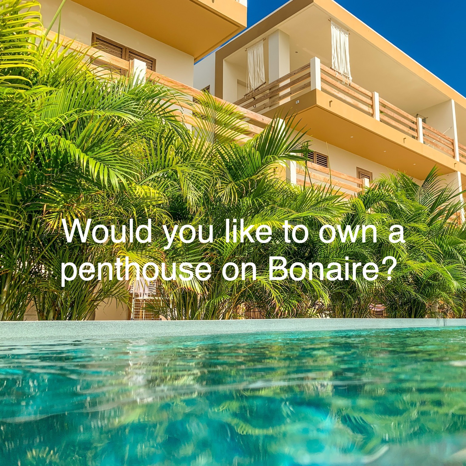 Picture of Isla penthouse & garden apartments Bonaire | Kralendijk Bonaire, Sint ...