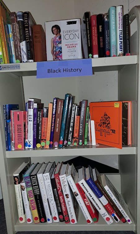 Friends of the Fountaindale Library | Bolingbrook IL