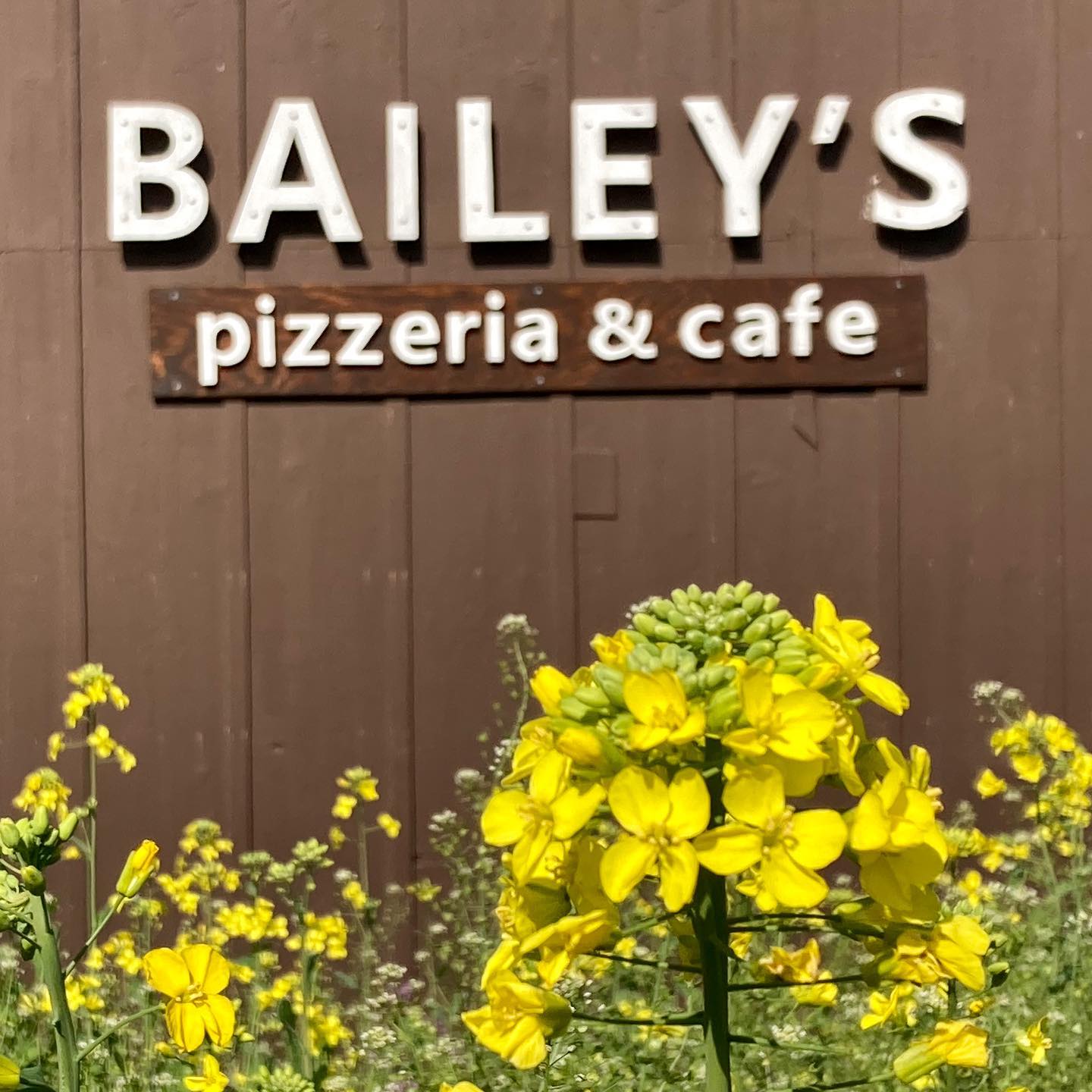 bailey's pizzeria & cafe
